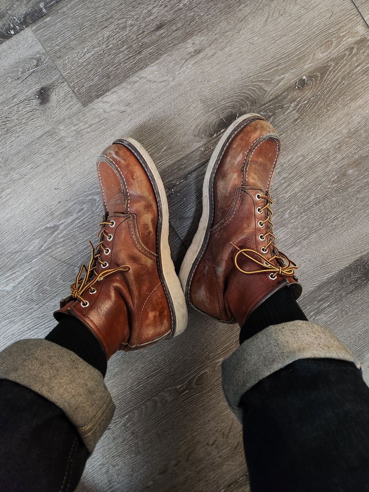 Photo by som1 on January 27, 2025 of the Red Wing 6-Inch Classic Moc in S.B. Foot Oro Legacy.