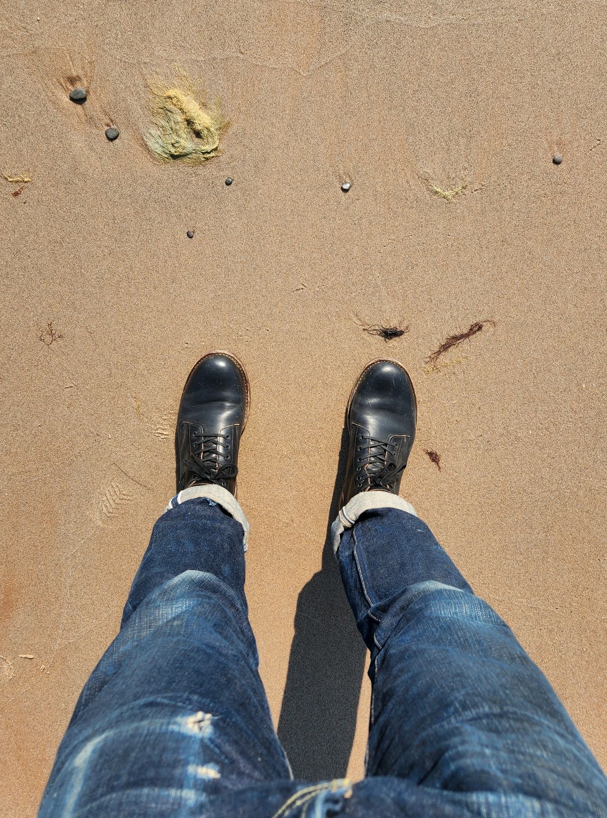 Photo by som1 on June 19, 2024 of the Oak Street Bootmakers Field Boot in Horween Black Chromexcel.