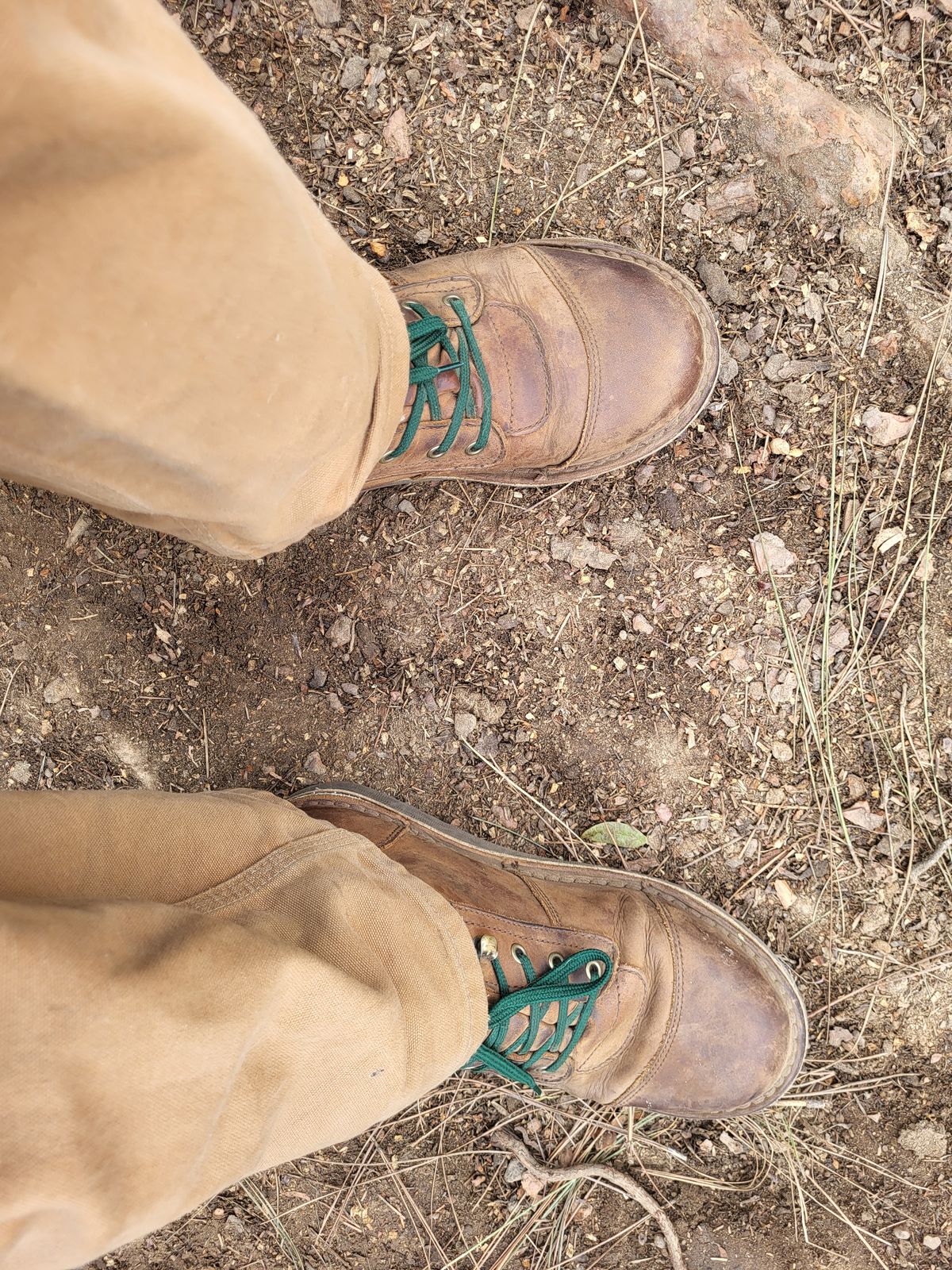 Photo by thayne on February 2, 2023 of the Jim Green African Ranger in Fudge Crazy Horse.