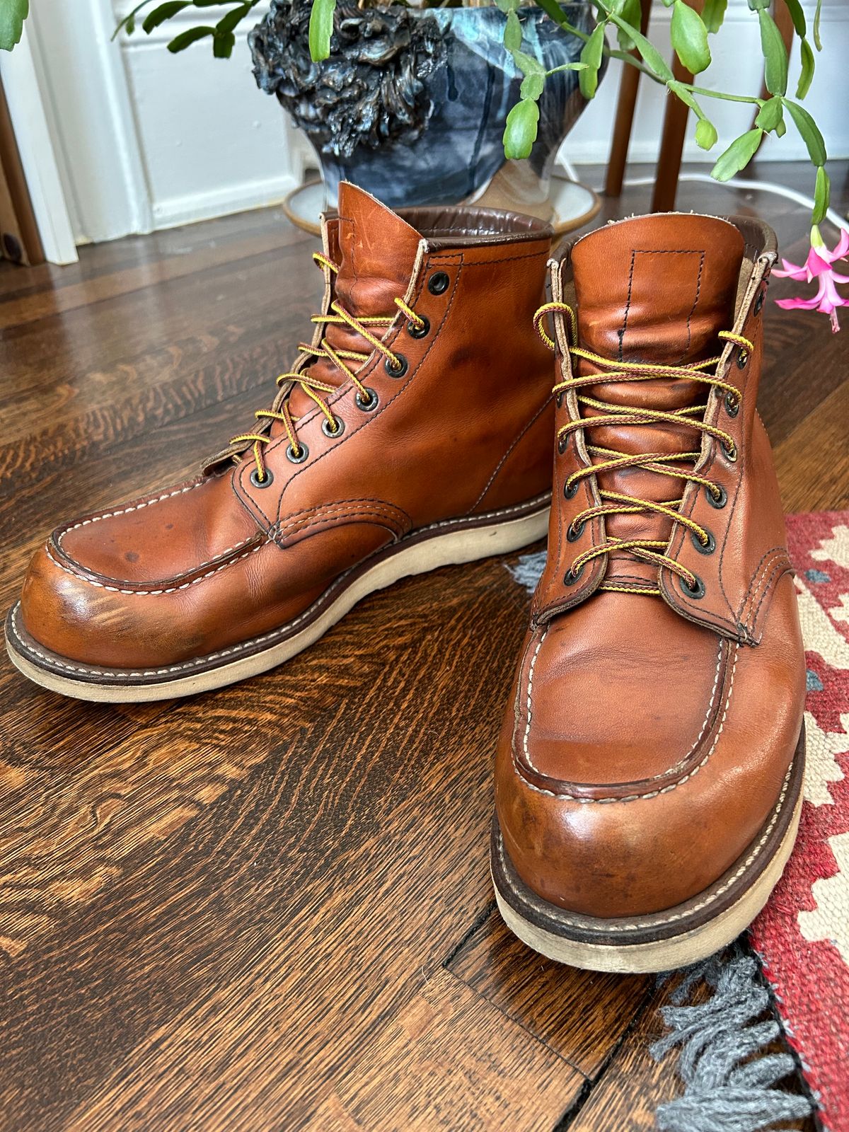Photo by solly on January 8, 2024 of the Red Wing 6-Inch Classic Moc in S.B. Foot Oro-Iginal.