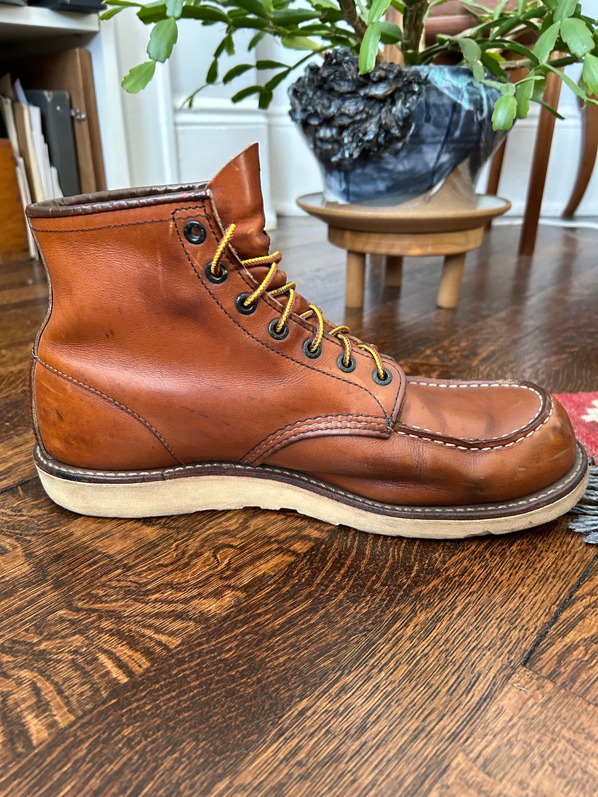 Photo by solly on January 8, 2024 of the Red Wing 6-Inch Classic Moc in S.B. Foot Oro-Iginal.