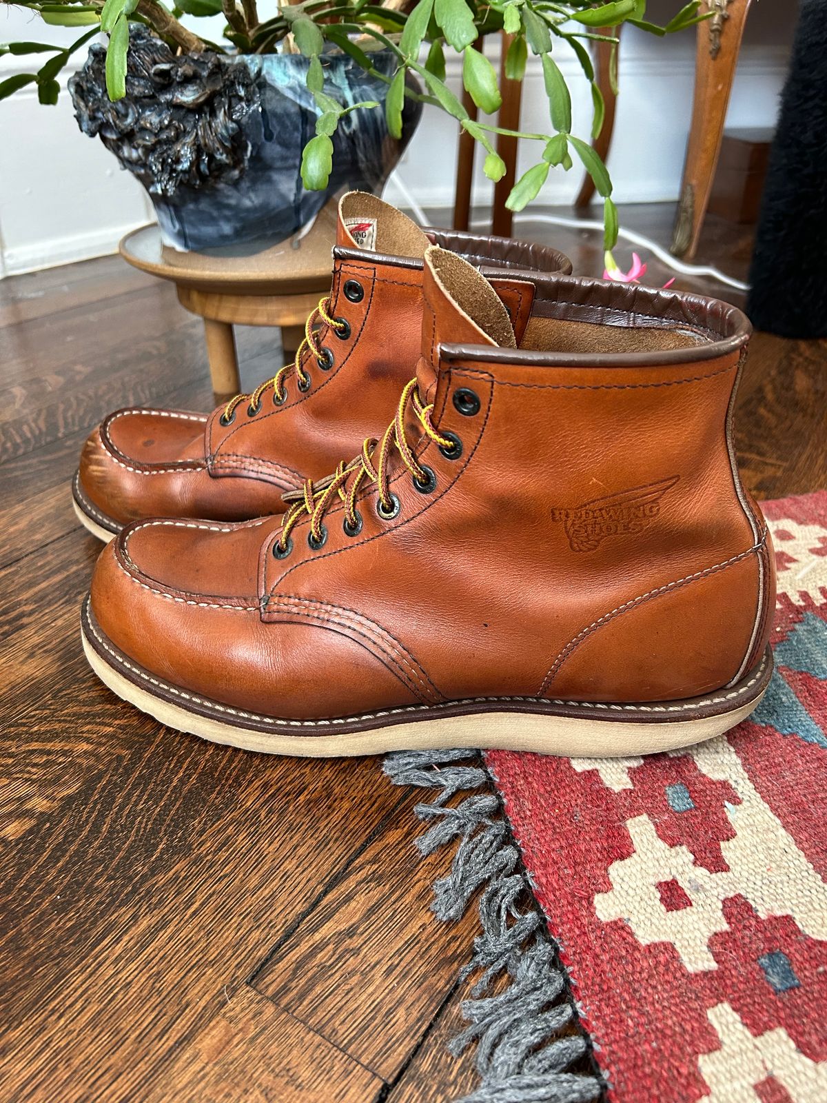 Photo by solly on January 8, 2024 of the Red Wing 6-Inch Classic Moc in S.B. Foot Oro-Iginal.
