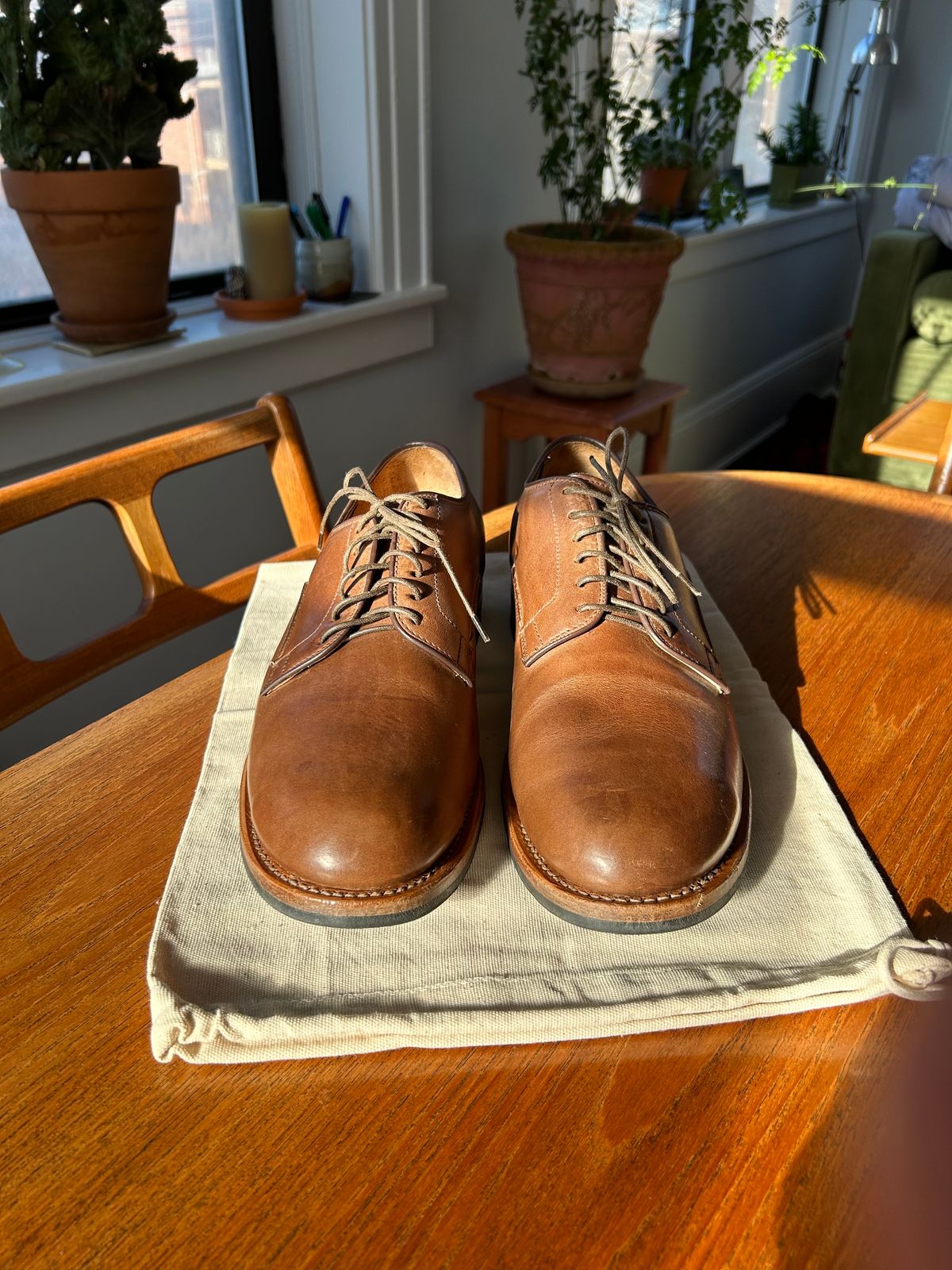 Photo by solly on December 19, 2023 of the Viberg Derby Shoe in Horween Natural Chromexcel.