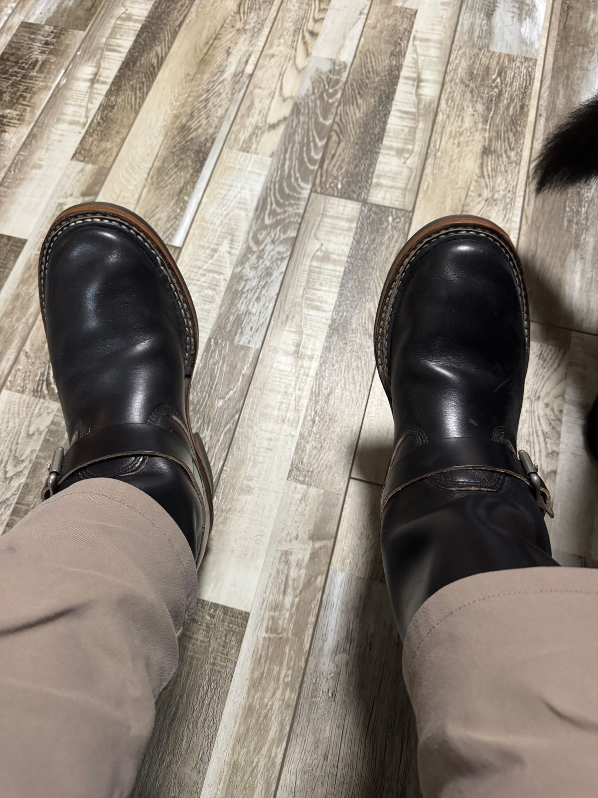 Photo by Shannmoody on July 31, 2025 of the White's Nomad Engineer Boots in Horween Black Chromexcel.