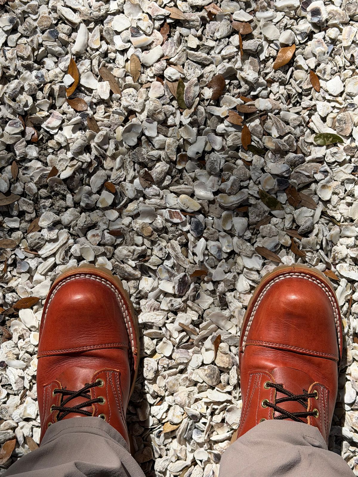 Photo by Shannmoody on February 14, 2026 of the Frank's Boots Type 2 Highlander in Wickett & Craig Chestnut English Bridle.