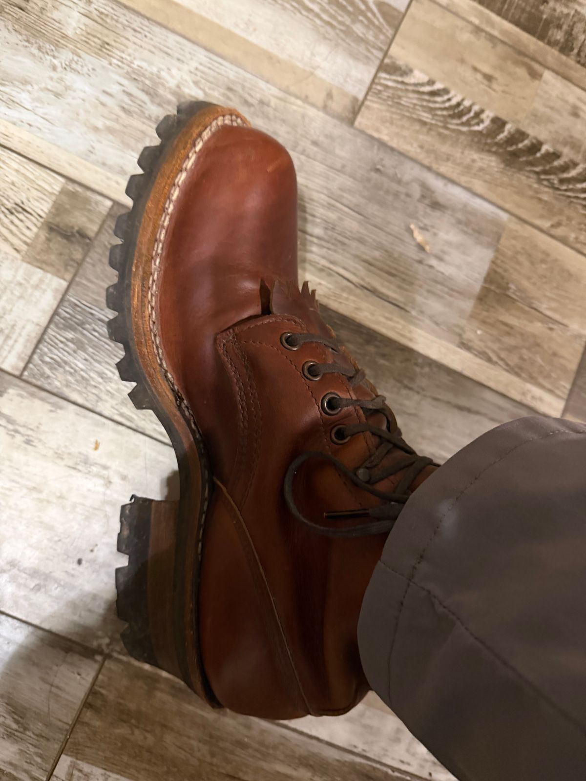 Photo by Shannmoody on December 8, 2025 of the White's C355 Logger in Seidel British Tan Double Shot.