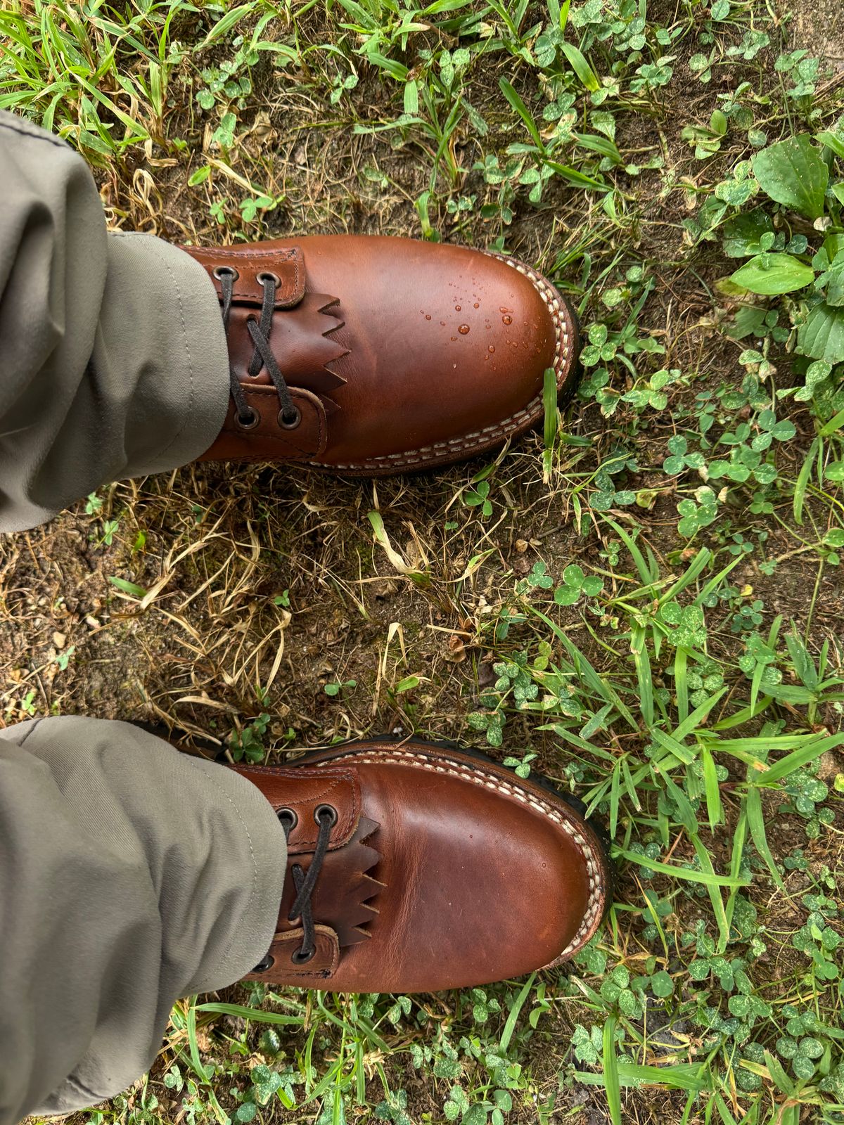 Photo by Shannmoody on July 28, 2025 of the White's C355 Logger in Seidel British Tan Double Shot.