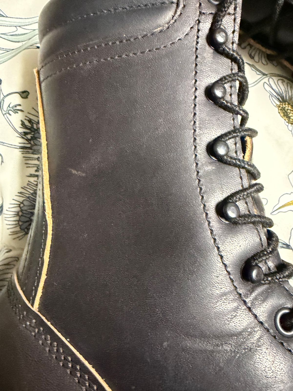 Photo by Shannmoody on February 18, 2026 of the Frank's Boots Type 2 Highlander in Cypress Black Teacore.