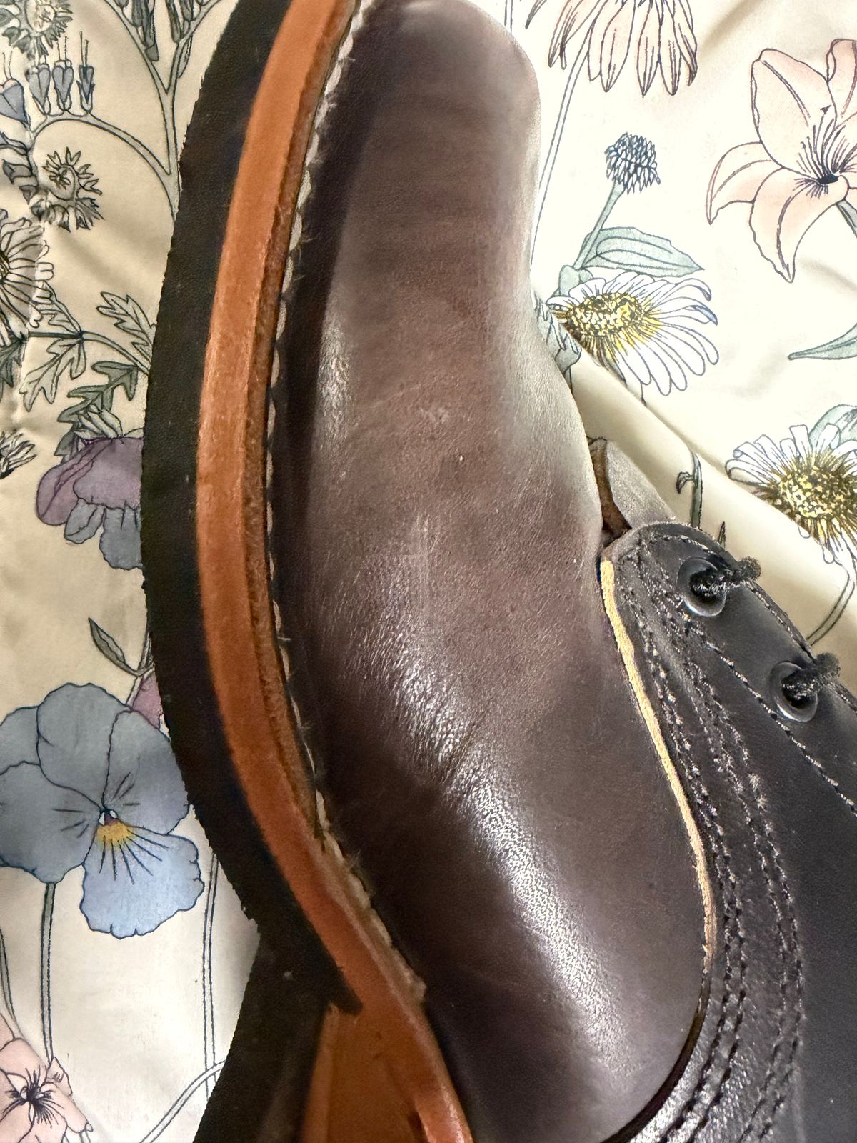Photo by Shannmoody on February 18, 2026 of the Frank's Boots Type 2 Highlander in Cypress Black Teacore.