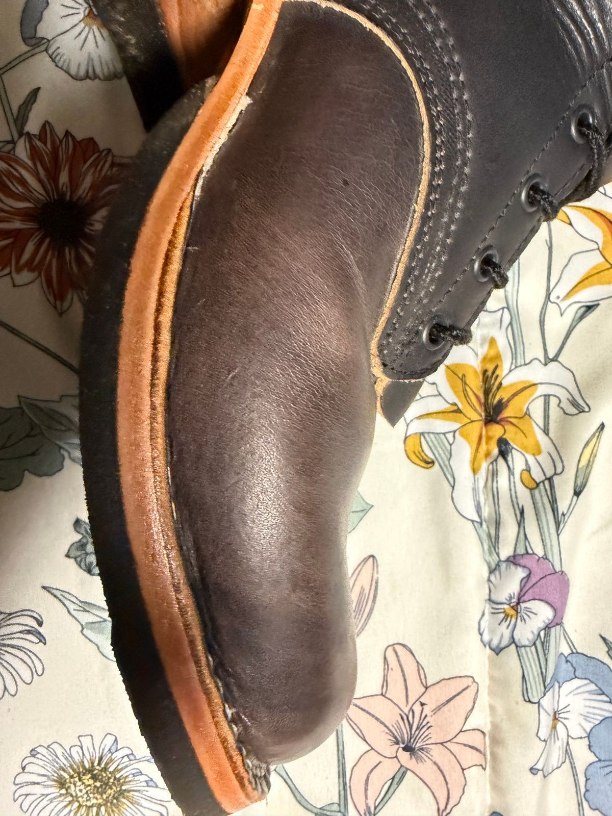 Photo by Shannmoody on February 18, 2026 of the Frank's Boots Type 2 Highlander in Cypress Black Teacore.