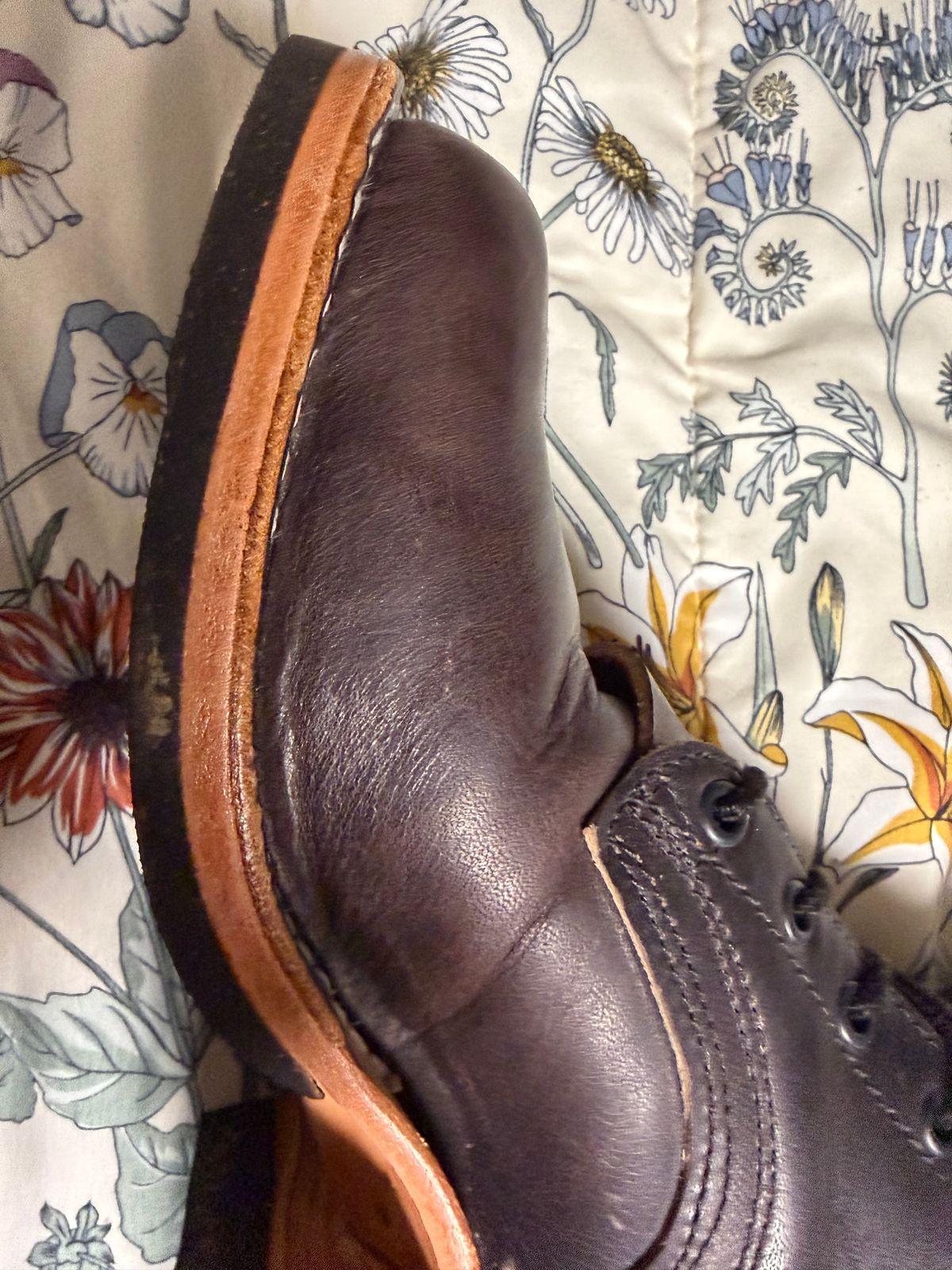 Photo by Shannmoody on February 18, 2026 of the Frank's Boots Type 2 Highlander in Cypress Black Teacore.