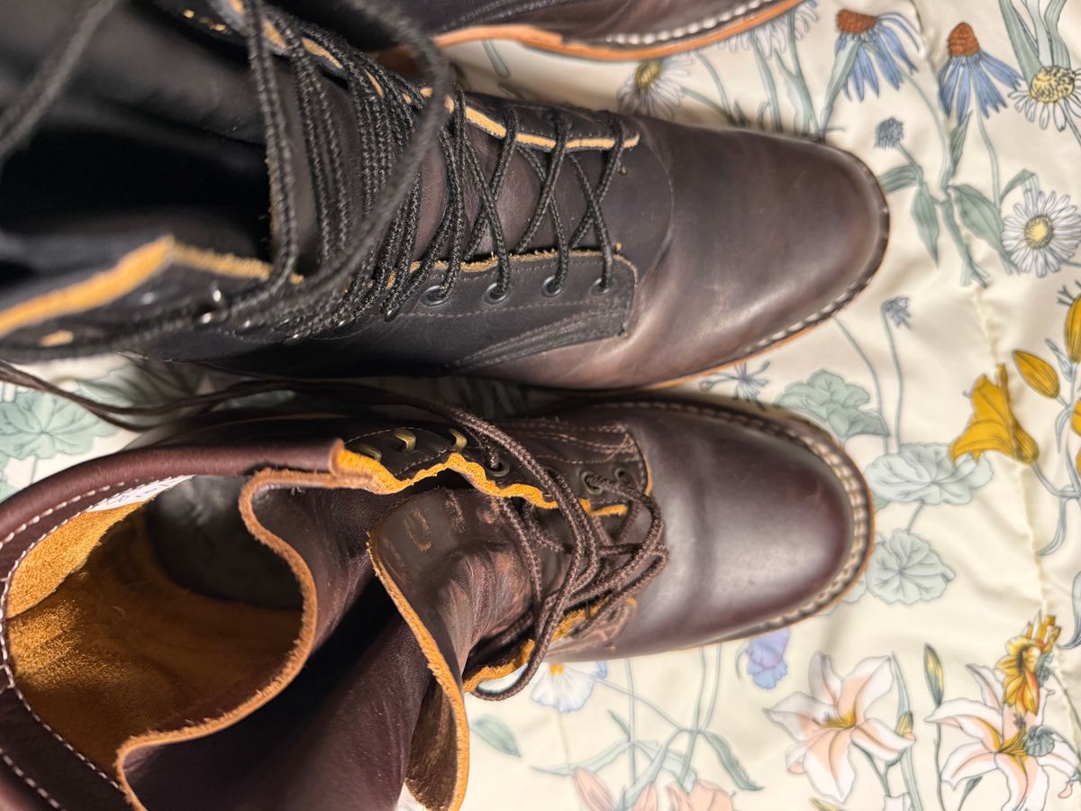 Photo by Shannmoody on February 18, 2026 of the Frank's Boots Type 2 Highlander in Cypress Black Teacore.