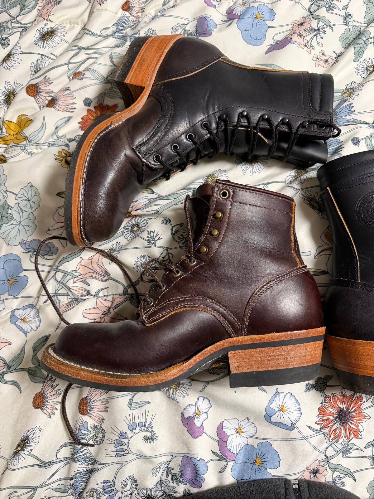 Photo by Shannmoody on February 18, 2026 of the Frank's Boots Type 2 Highlander in Cypress Black Teacore.