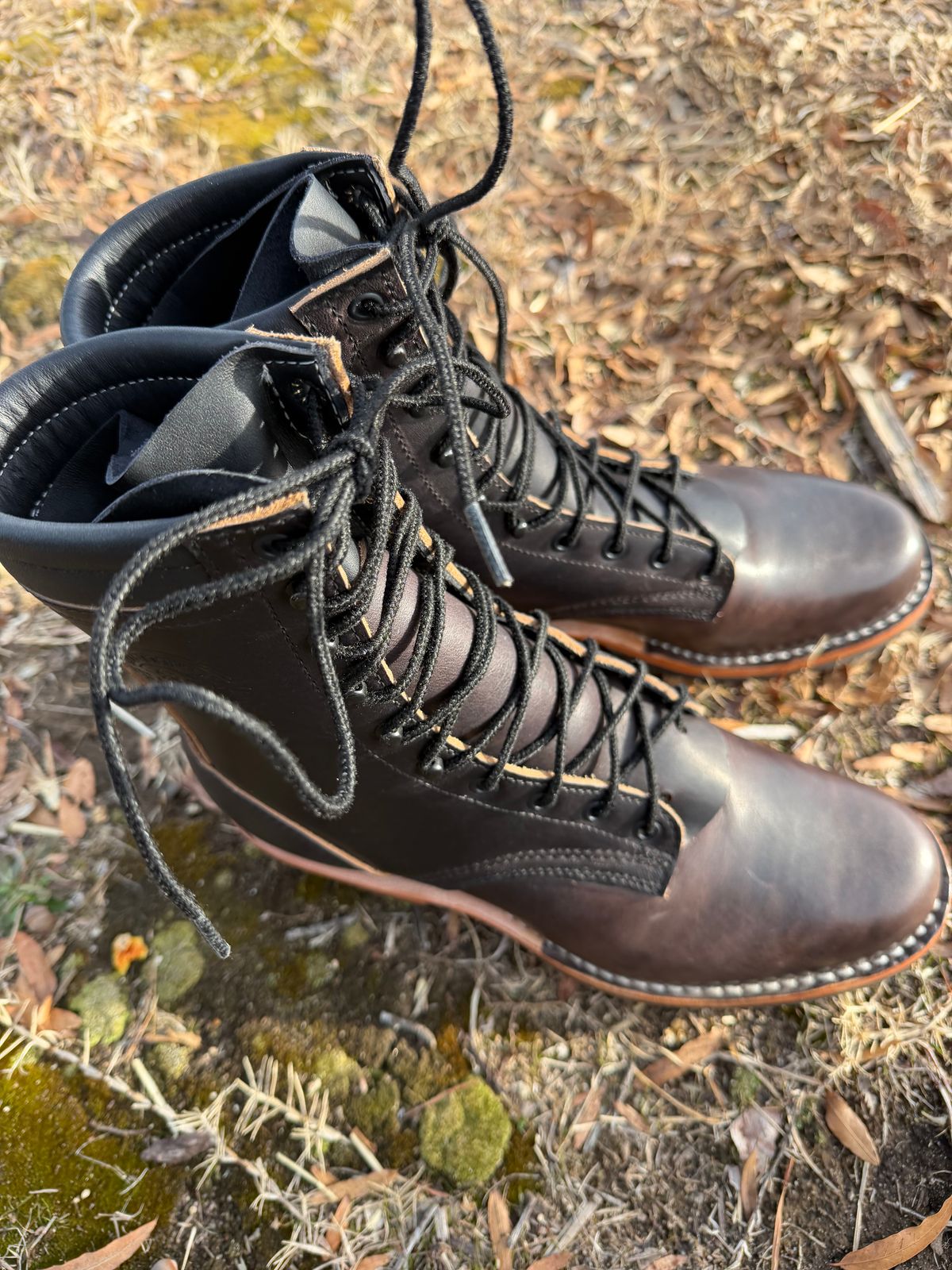 Photo by Shannmoody on February 17, 2026 of the Frank's Boots Type 2 Highlander in Cypress Black Teacore.
