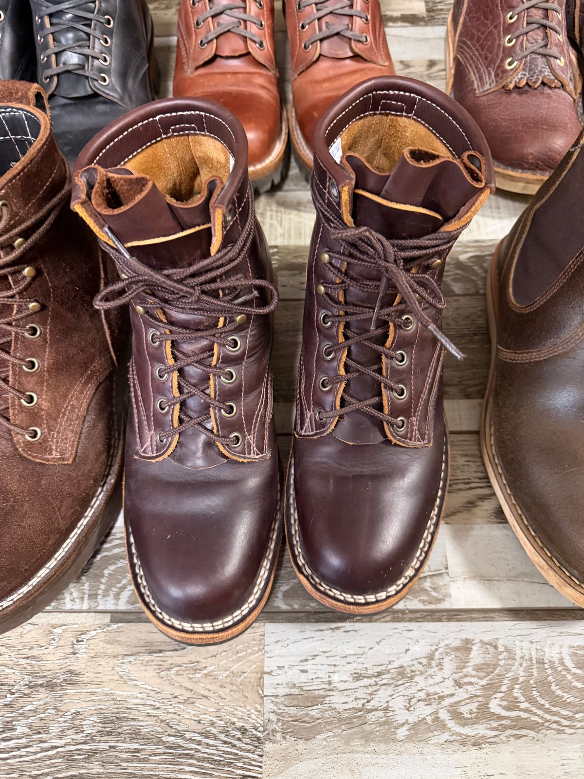 Photo by Shannmoody on December 14, 2025 of the Frank's Boots Wilshire in Seidel Brown Domain.