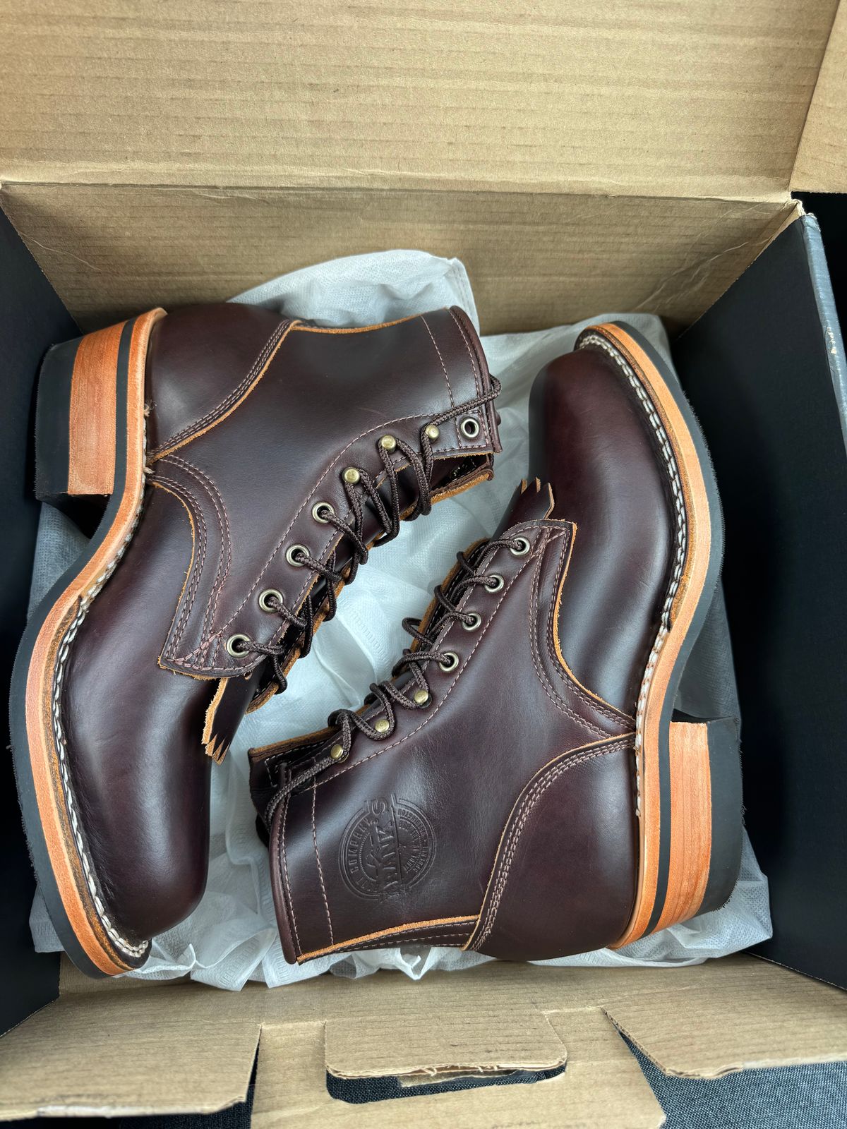 Photo by Shannmoody on June 13, 2025 of the Frank's Boots Wilshire in Seidel Brown Domain.