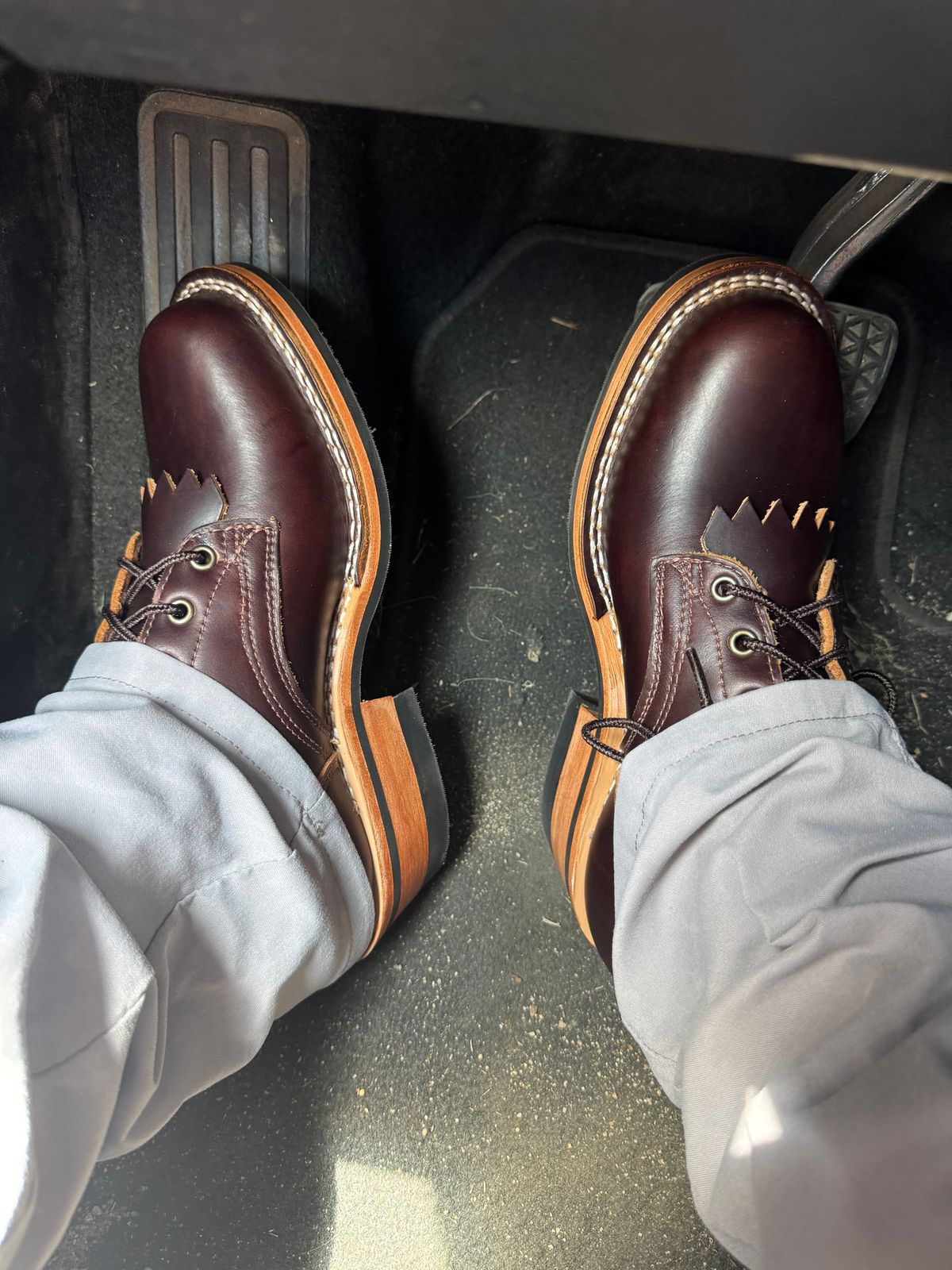 Photo by Shannmoody on June 13, 2025 of the Frank's Boots Wilshire in Seidel Brown Domain.