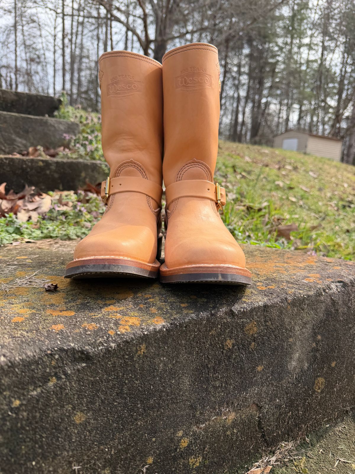 Photo by Shannmoody on February 21, 2026 of the Wesco Mister Lou in Maryam Italian Vachetta Natural Horsebutt.