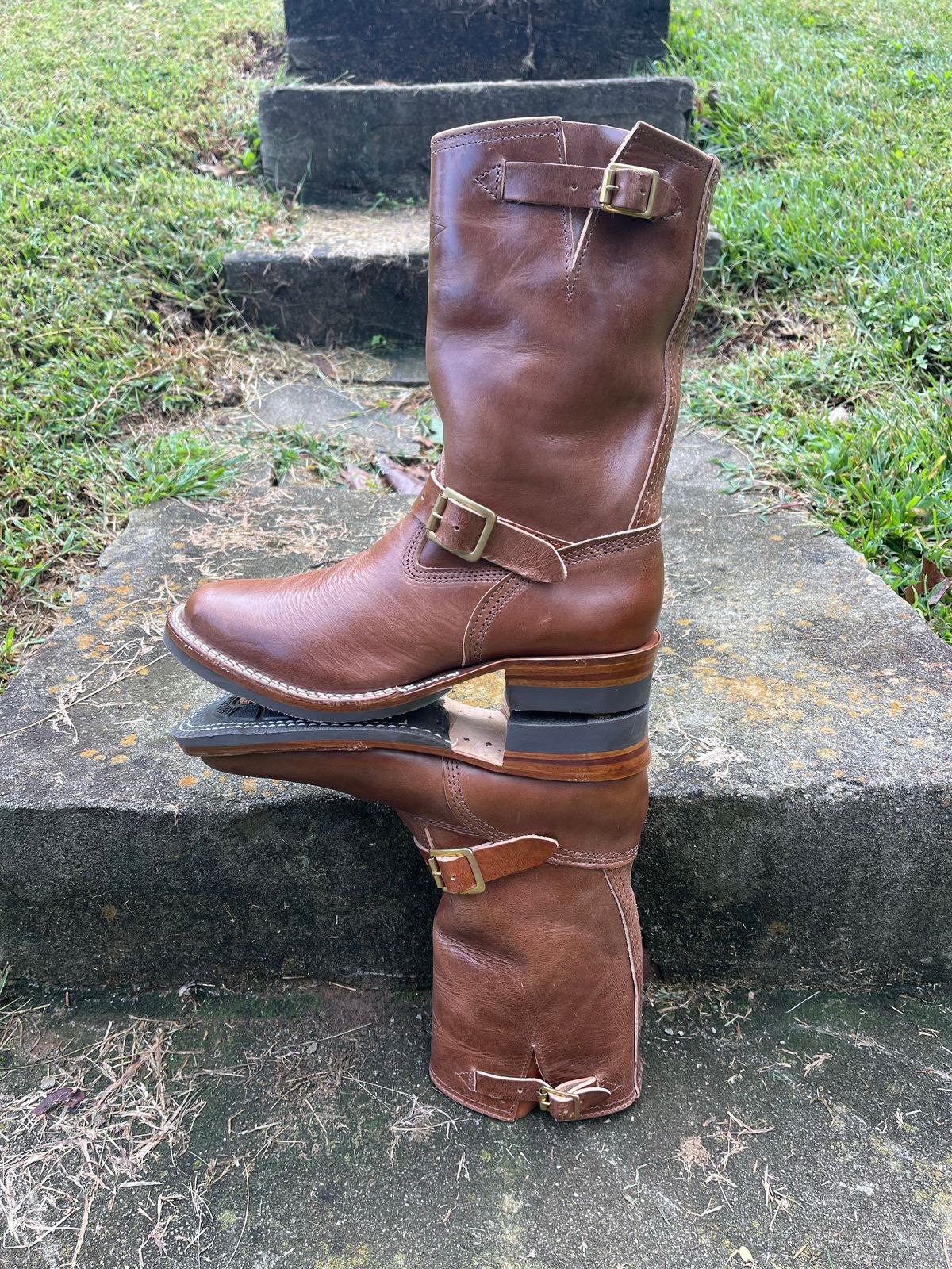 Photo by Shannmoody on October 1, 2022 of the Wesco Mister Lou in Maryam Toscanello TPR Horsebutt.