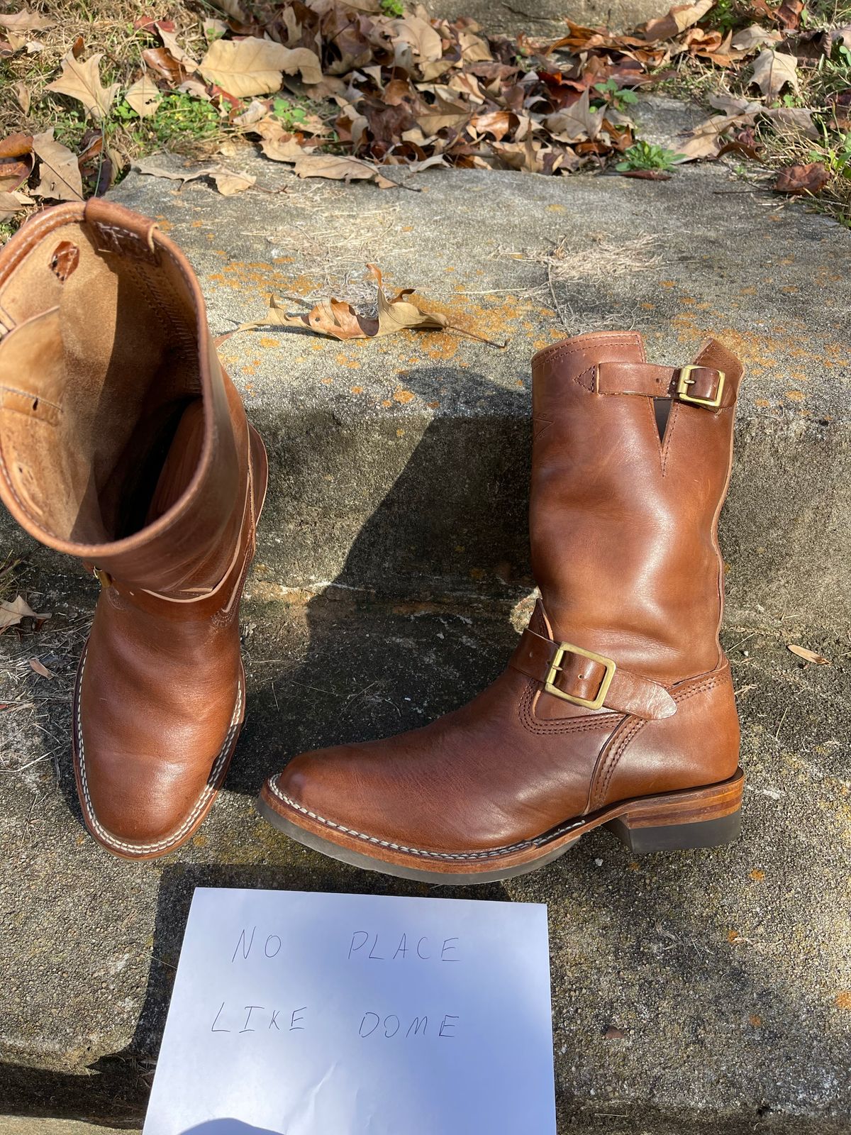 Photo by Shannmoody on November 4, 2022 of the Wesco Mister Lou in Maryam Toscanello TPR Horsebutt.
