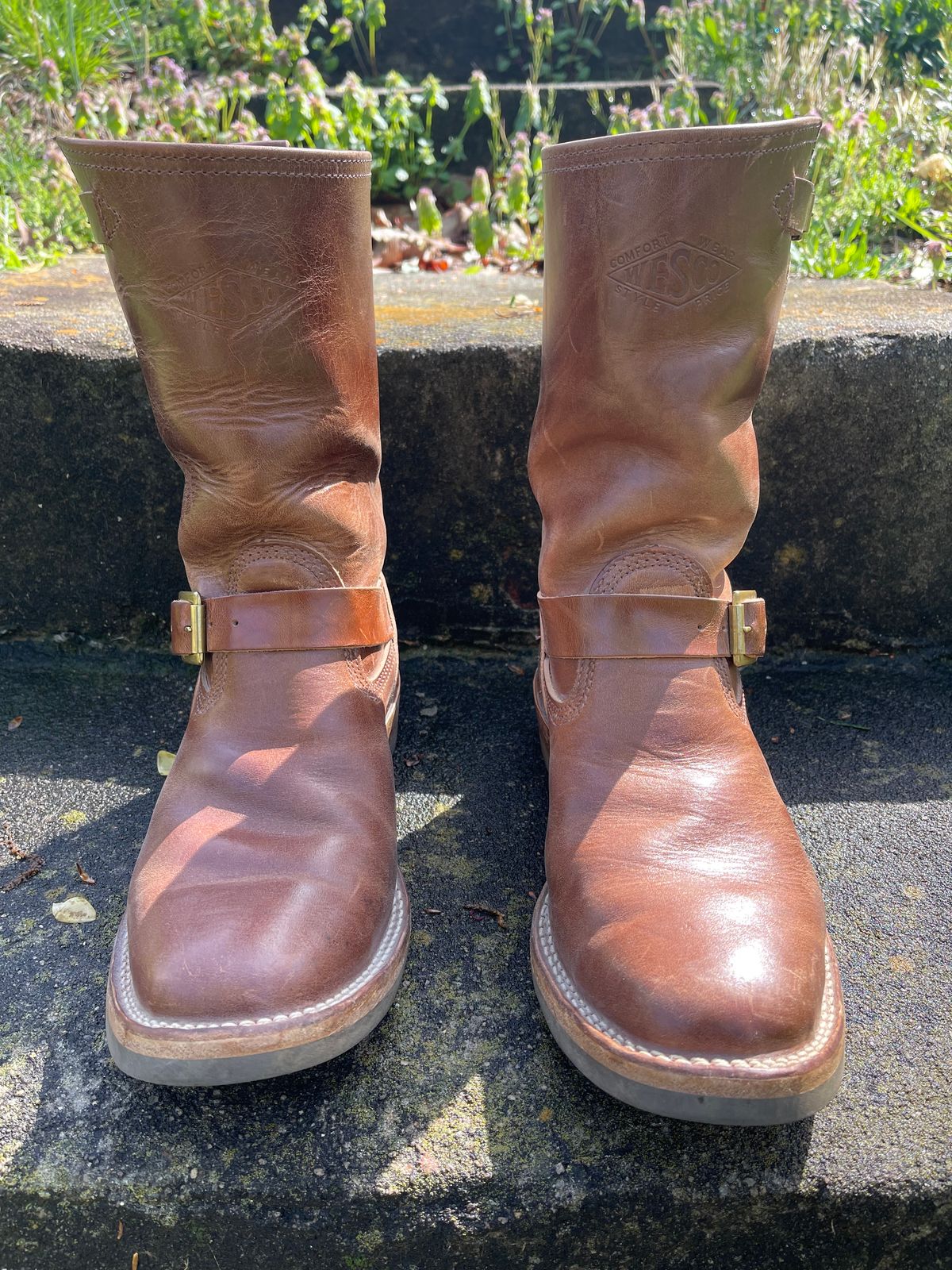 Photo by Shannmoody on April 3, 2023 of the Wesco Mister Lou in Maryam Toscanello TPR Horsebutt.