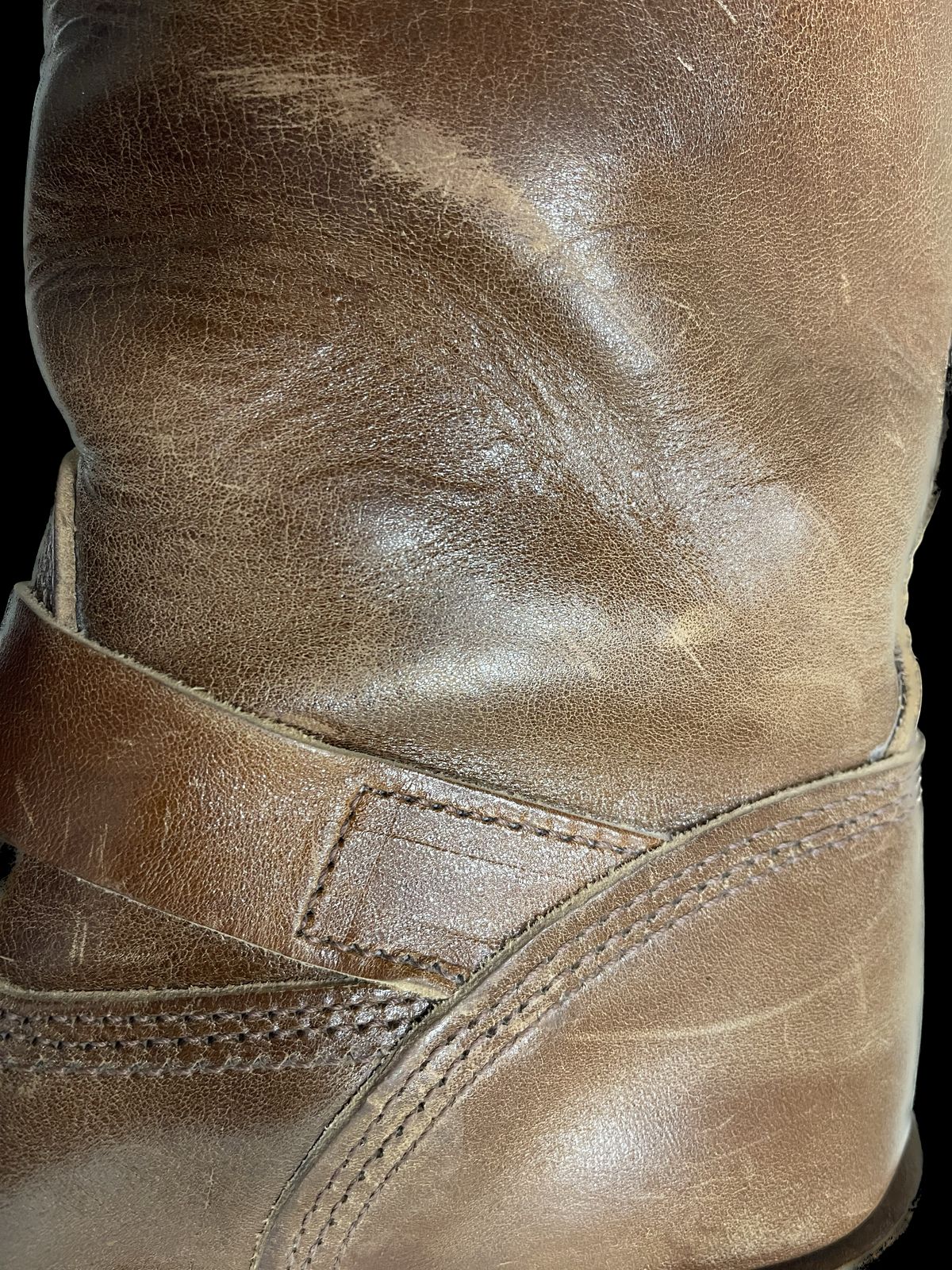 Photo by Shannmoody on April 4, 2023 of the Wesco Mister Lou in Maryam Toscanello TPR Horsebutt.