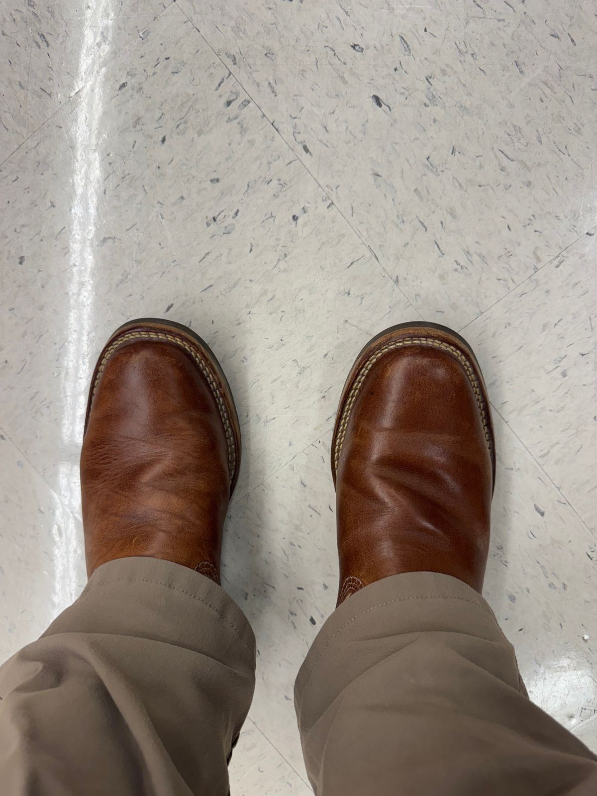 Photo by Shannmoody on July 16, 2025 of the Wesco Mister Lou in Maryam Toscanello TPR Horsebutt.