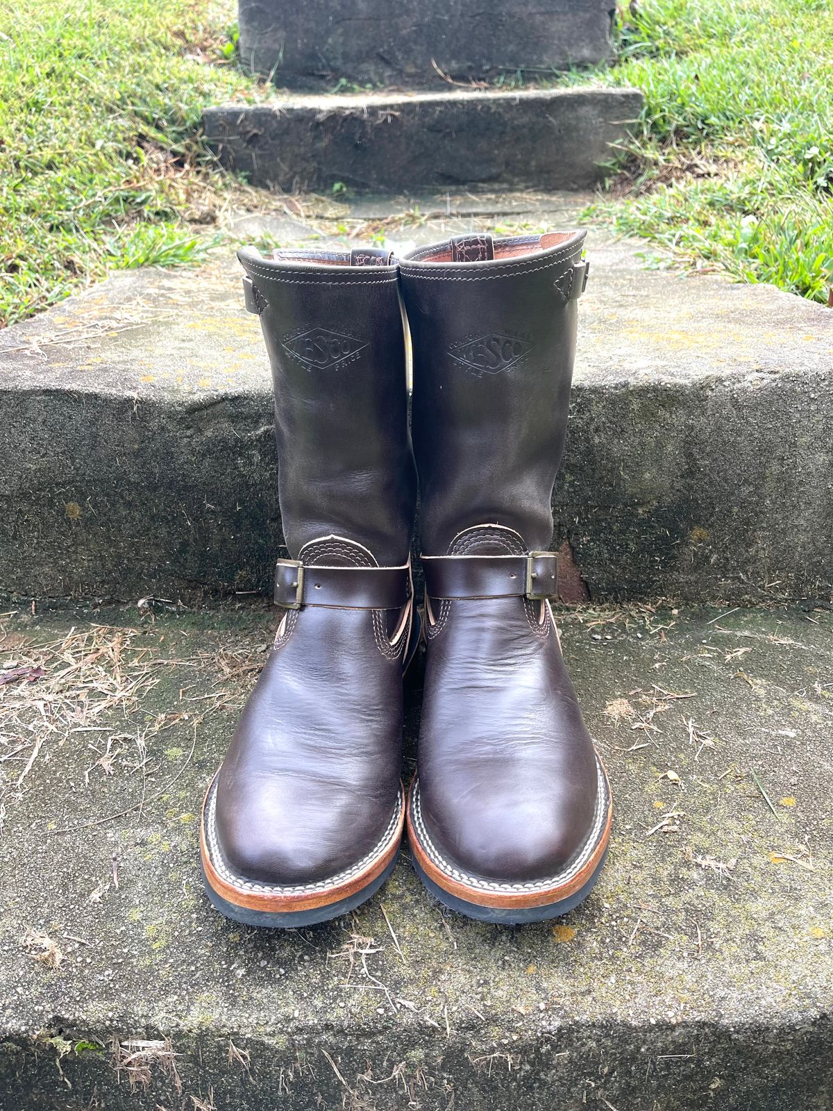 Photo by Shannmoody on October 1, 2022 of the Wesco Mister Lou in Maryam T. Moro Horsebutt.