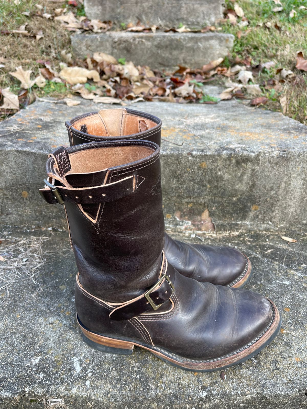 Photo by Shannmoody on November 4, 2022 of the Wesco Mister Lou in Maryam T. Moro Horsebutt.