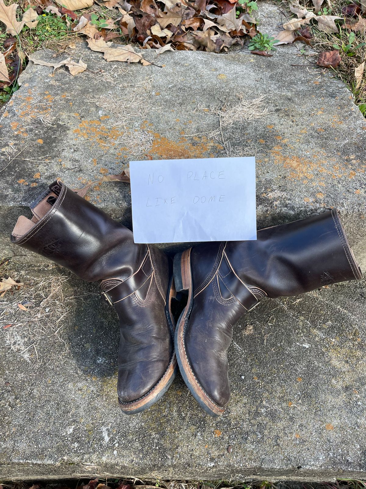 Photo by Shannmoody on November 4, 2022 of the Wesco Mister Lou in Maryam T. Moro Horsebutt.