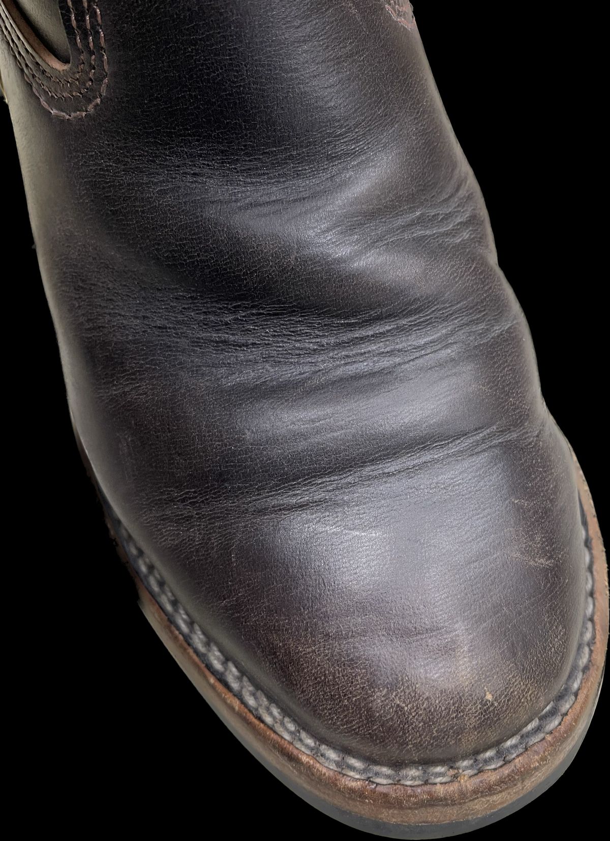 Photo by Shannmoody on April 4, 2023 of the Wesco Mister Lou in Maryam T. Moro Horsebutt.