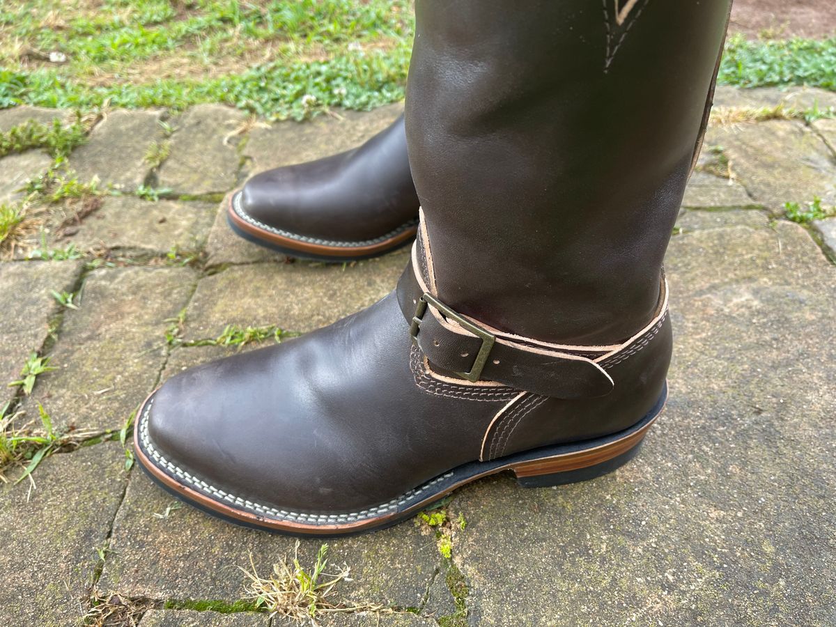 Photo by Shannmoody on May 7, 2022 of the Wesco Mister Lou in Maryam T. Moro Horsebutt.