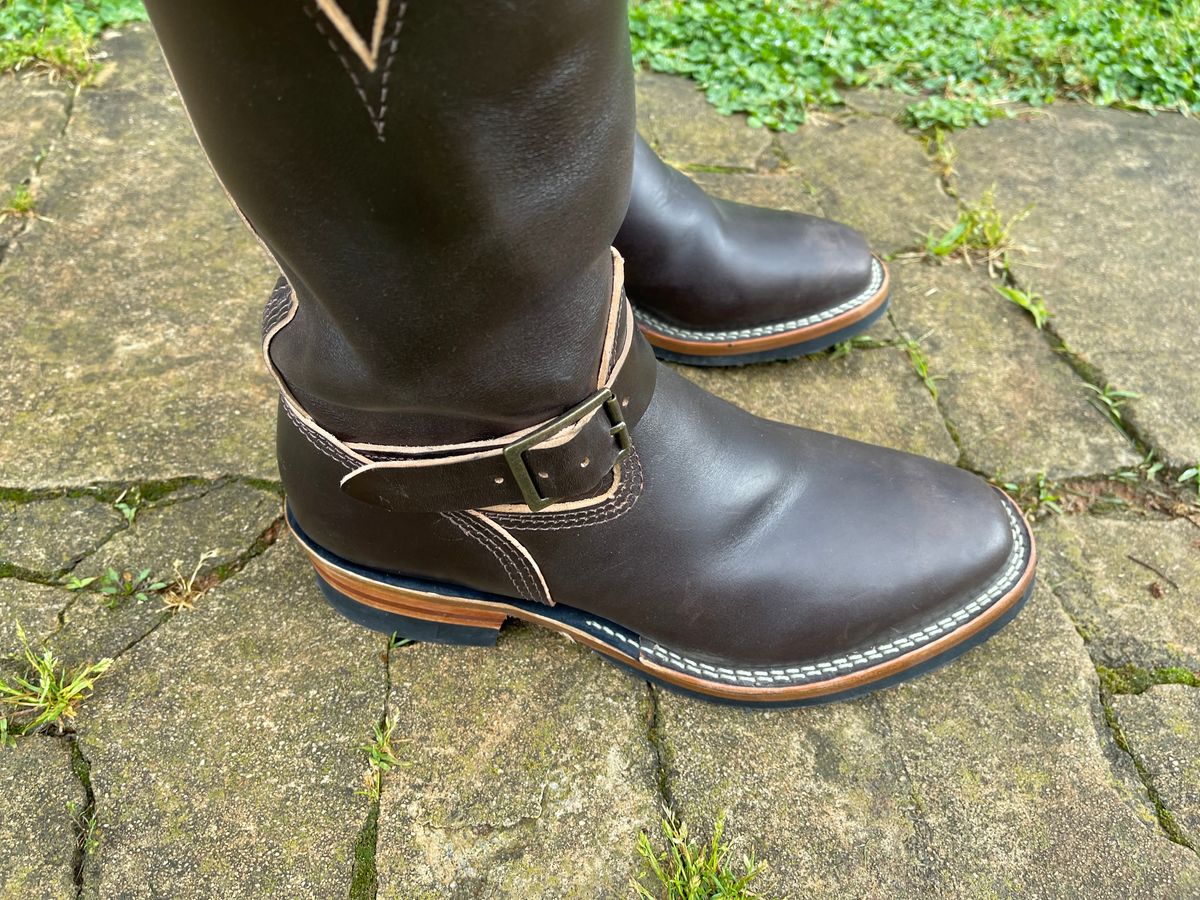 Photo by Shannmoody on May 7, 2022 of the Wesco Mister Lou in Maryam T. Moro Horsebutt.