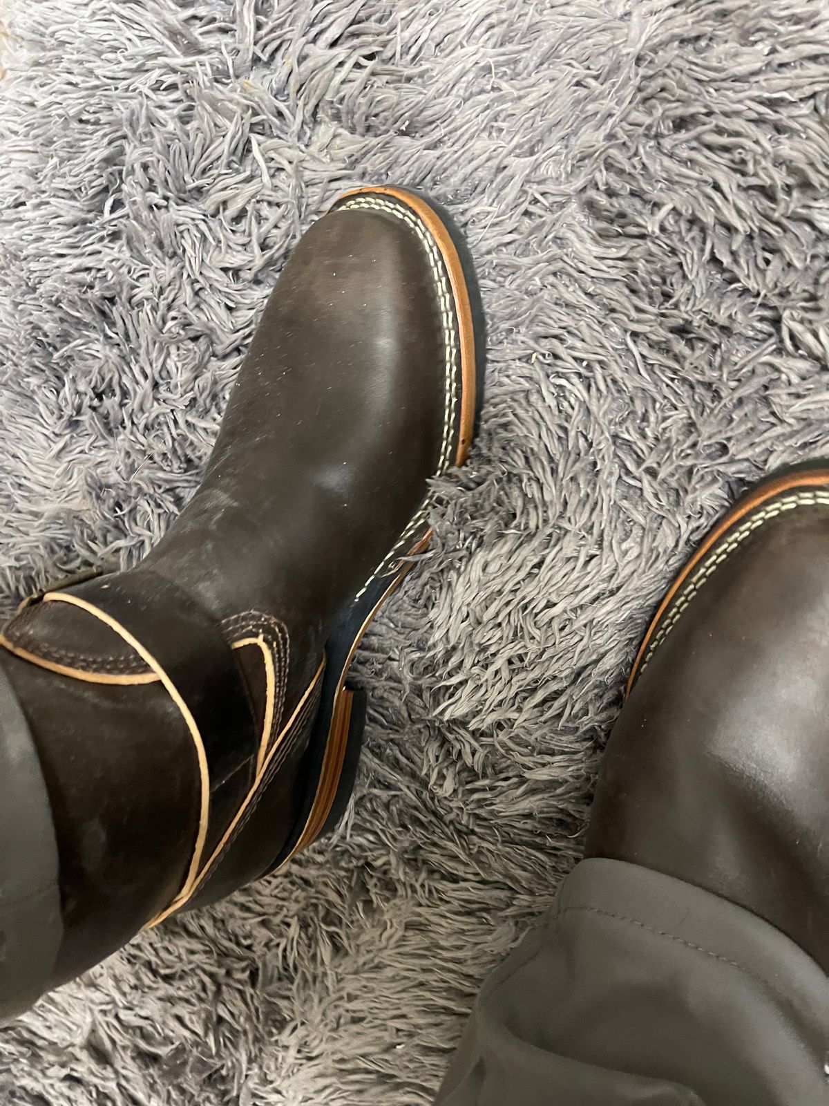 Photo by Shannmoody on May 6, 2022 of the Wesco Mister Lou in Maryam T. Moro Horsebutt.