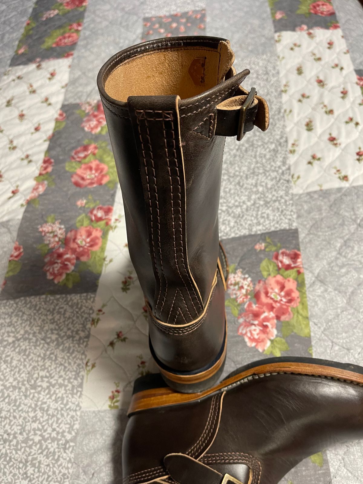 Photo by Shannmoody on August 24, 2022 of the Wesco Mister Lou in Maryam T. Moro Horsebutt.