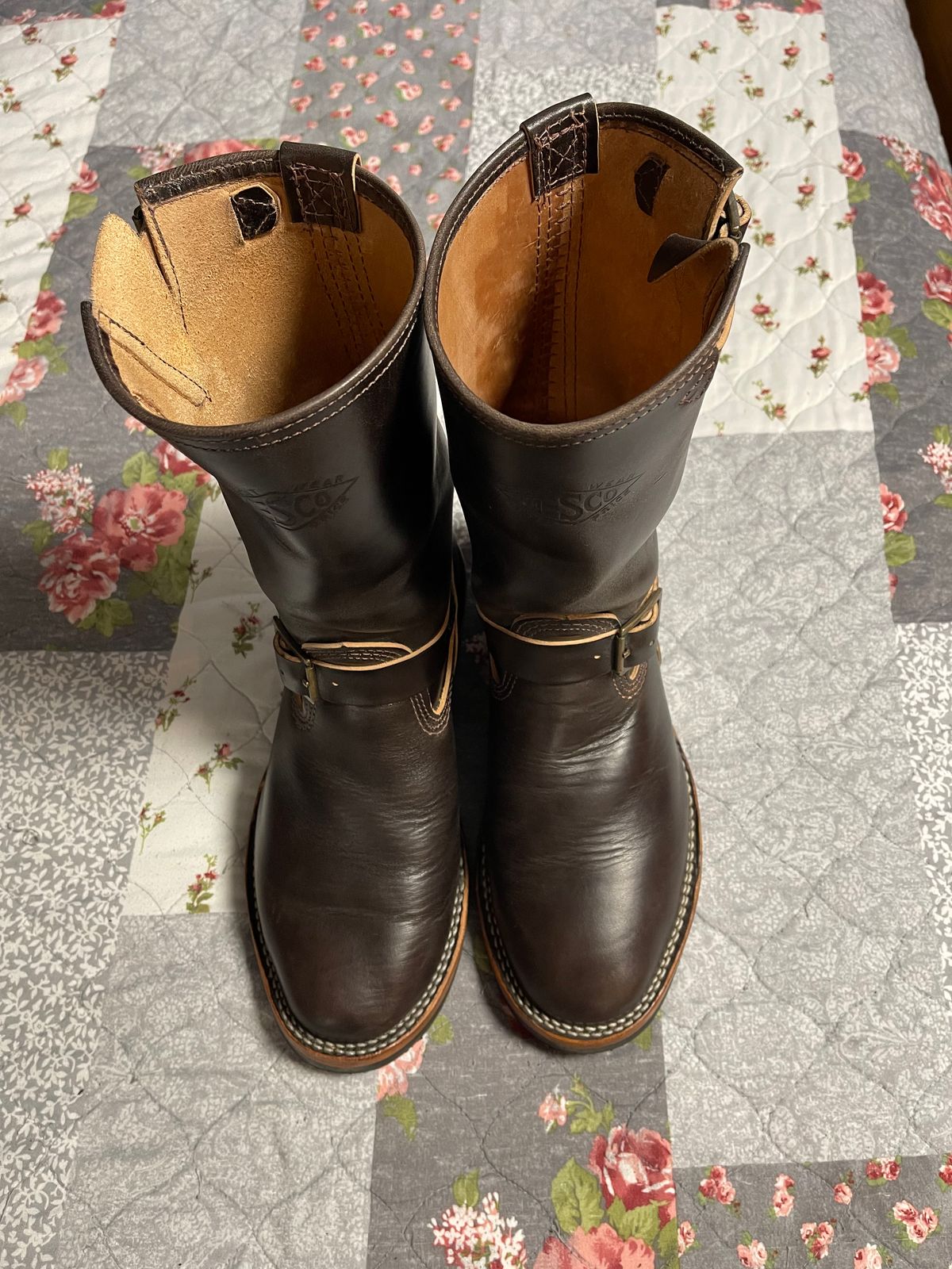 Photo by Shannmoody on August 24, 2022 of the Wesco Mister Lou in Maryam T. Moro Horsebutt.