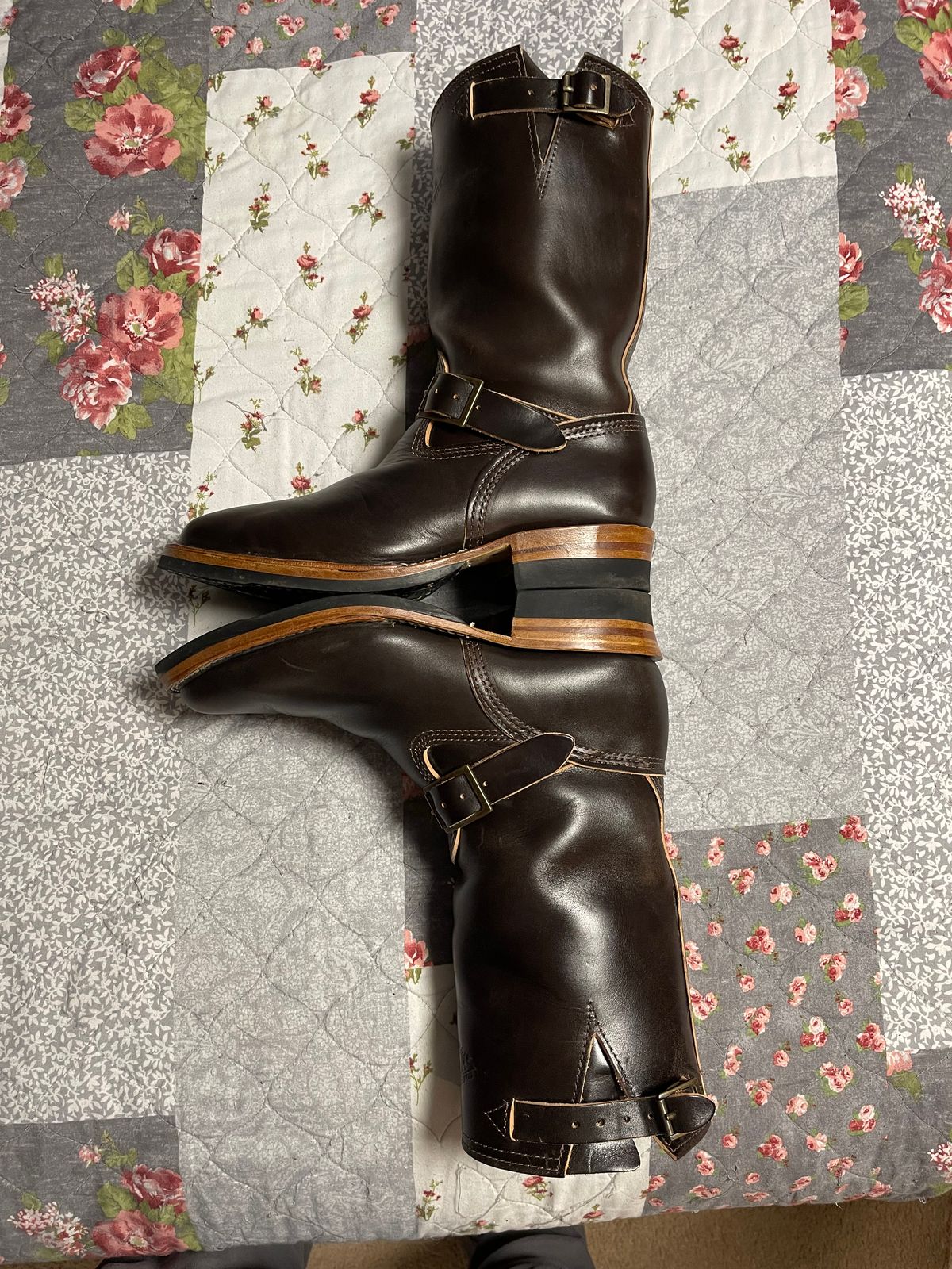 Photo by Shannmoody on August 24, 2022 of the Wesco Mister Lou in Maryam T. Moro Horsebutt.