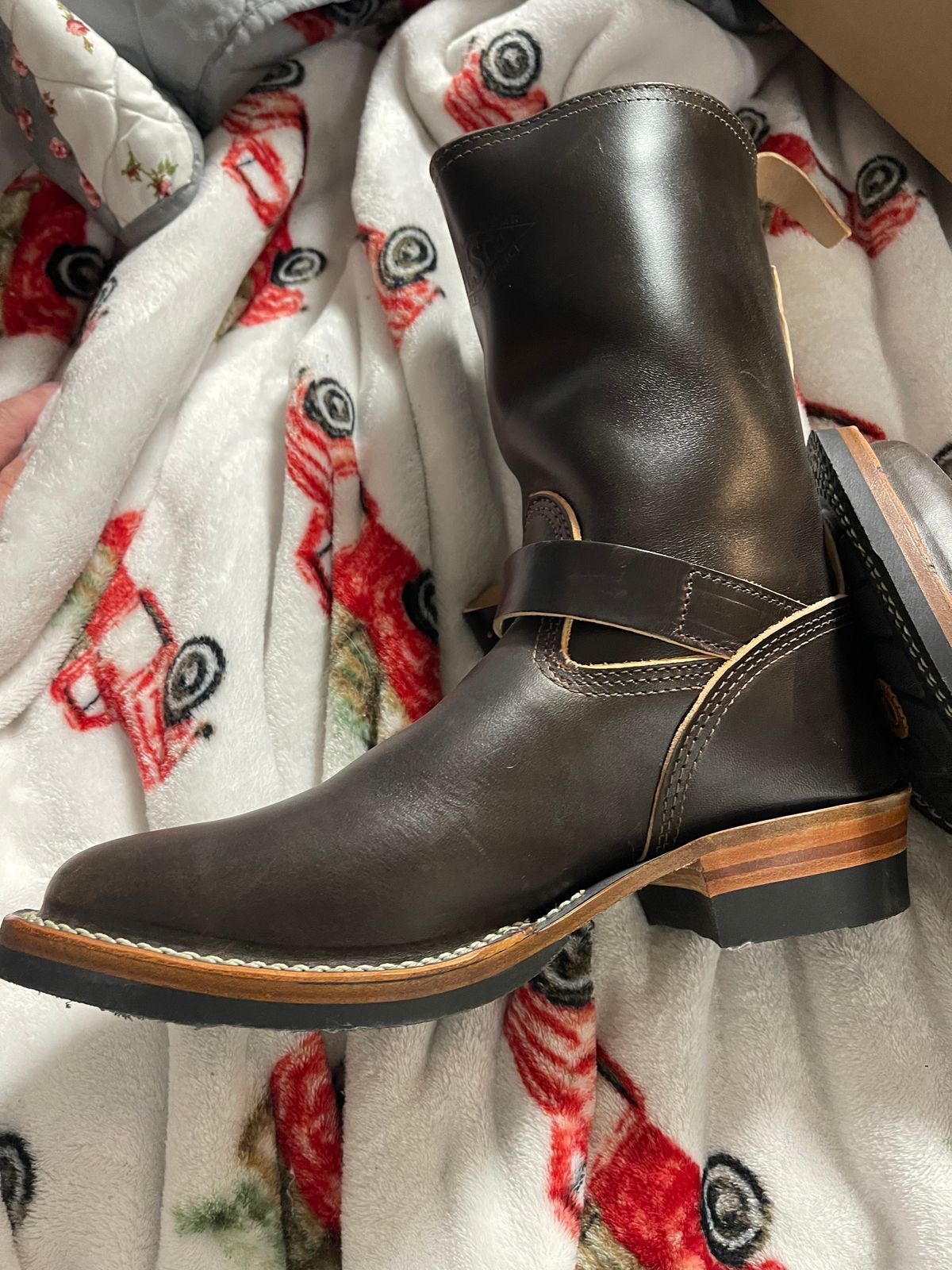 Photo by Shannmoody on May 6, 2022 of the Wesco Mister Lou in Maryam T. Moro Horsebutt.