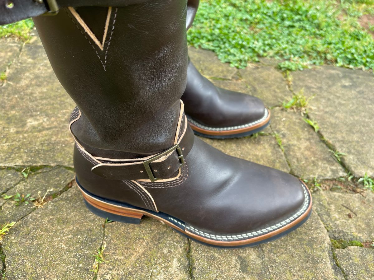 Photo by Shannmoody on May 7, 2022 of the Wesco Mister Lou in Maryam T. Moro Horsebutt.