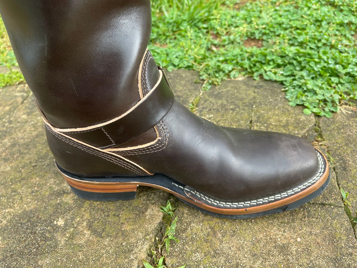 Photo by Shannmoody on May 7, 2022 of the Wesco Mister Lou in Maryam T. Moro Horsebutt.