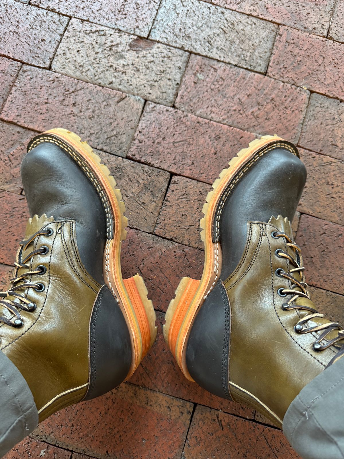 Photo by Shannmoody on October 13, 2025 of the Frank's Boots Royal Commander in Mocha/ Olive Harness.