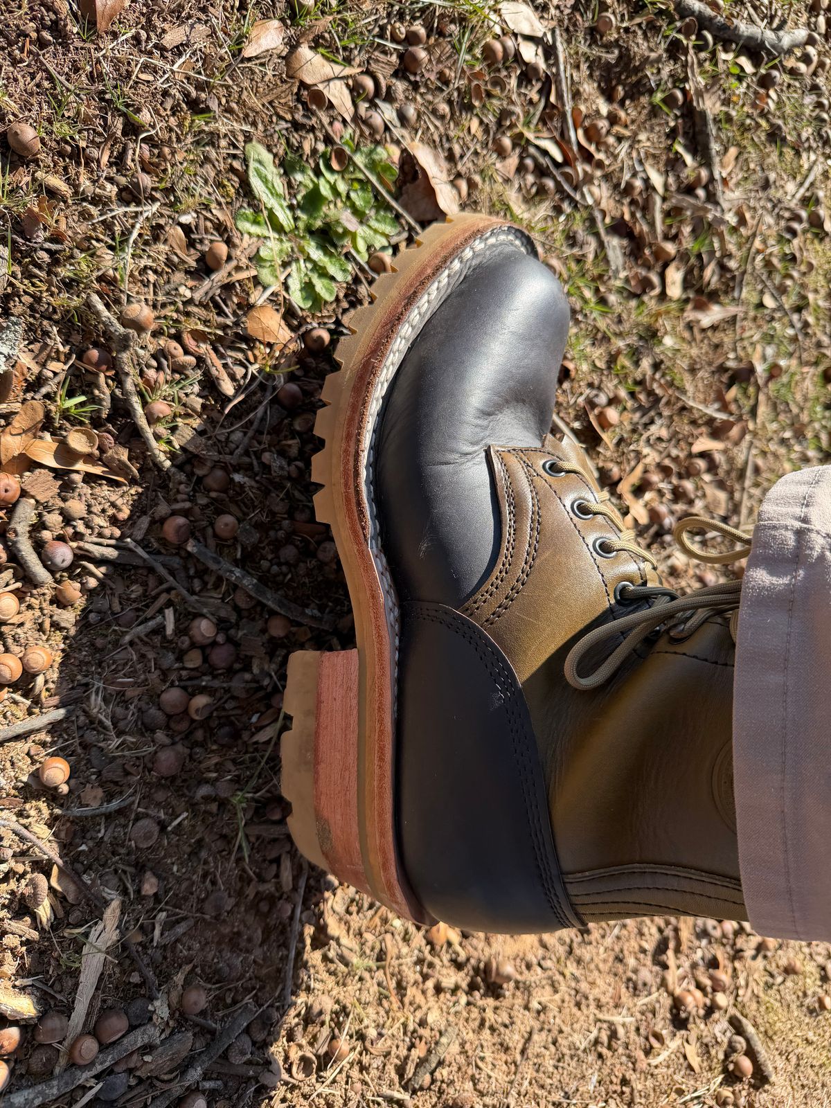 Photo by Shannmoody on December 11, 2025 of the Frank's Boots Royal Commander in Mocha/ Olive Harness.