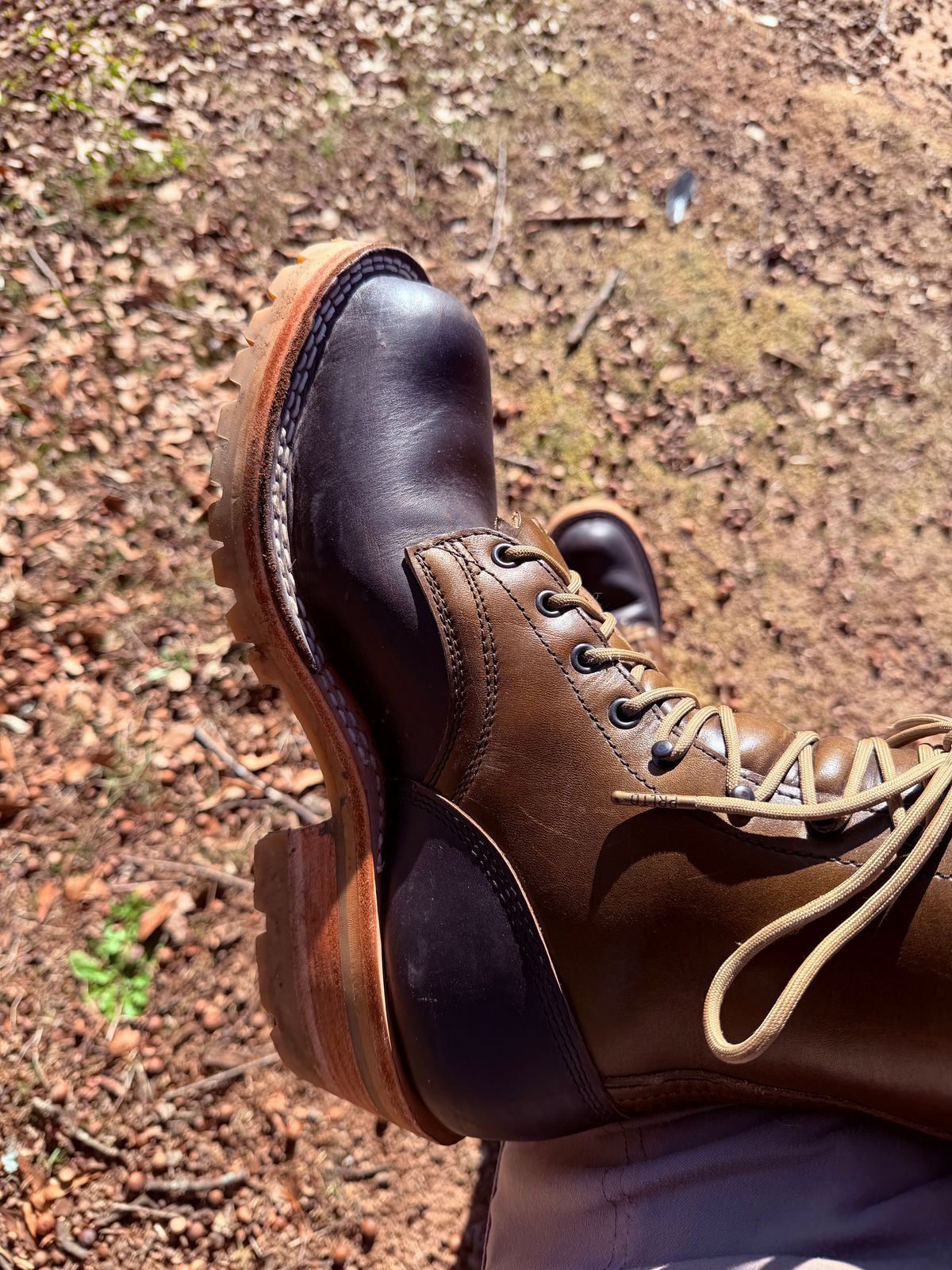 Photo by Shannmoody on December 11, 2025 of the Frank's Boots Royal Commander in Mocha/ Olive Harness.