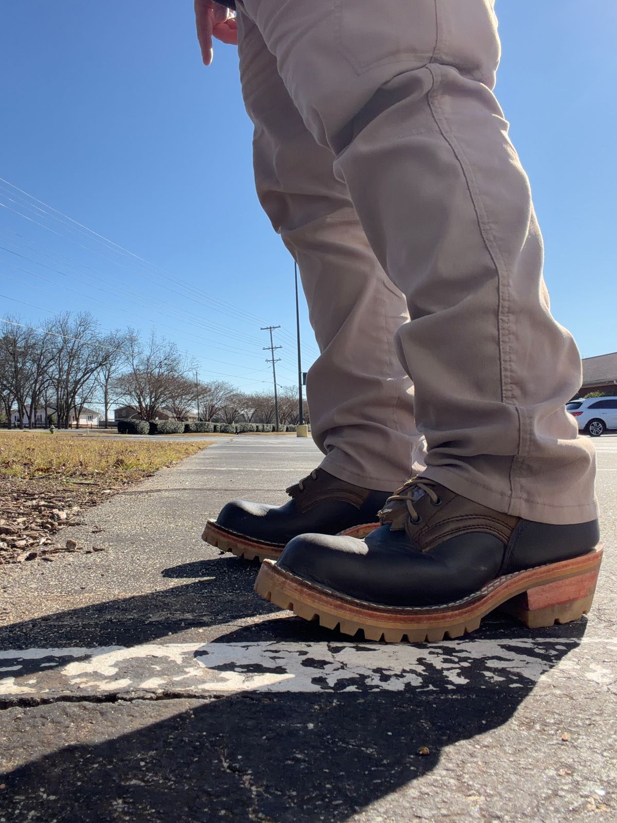 Photo by Shannmoody on December 11, 2025 of the Frank's Boots Royal Commander in Mocha/ Olive Harness.