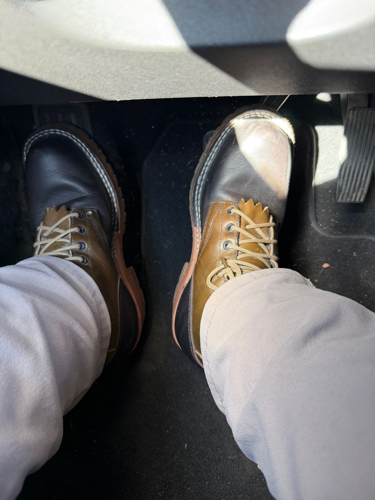 Photo by Shannmoody on December 11, 2025 of the Frank's Boots Royal Commander in Mocha/ Olive Harness.