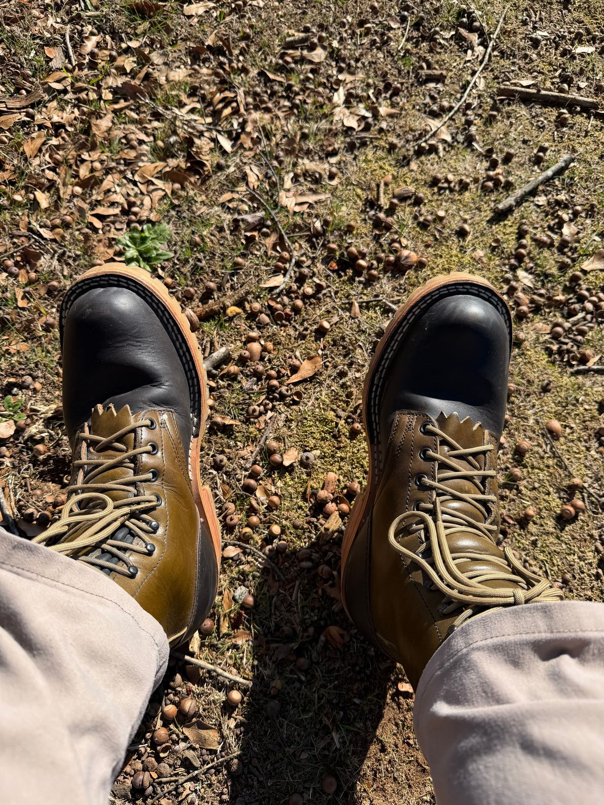 Photo by Shannmoody on December 11, 2025 of the Frank's Boots Royal Commander in Mocha/ Olive Harness.