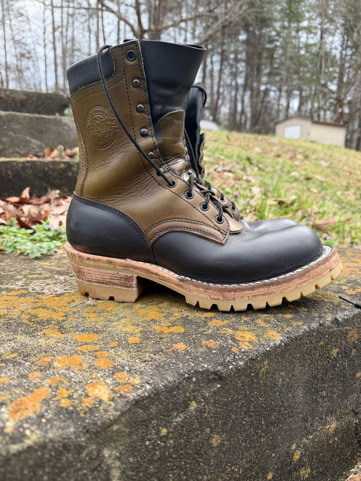 Photo by Shannmoody on February 21, 2026 of the Frank's Boots Royal Commander in Mocha/ Olive Harness.