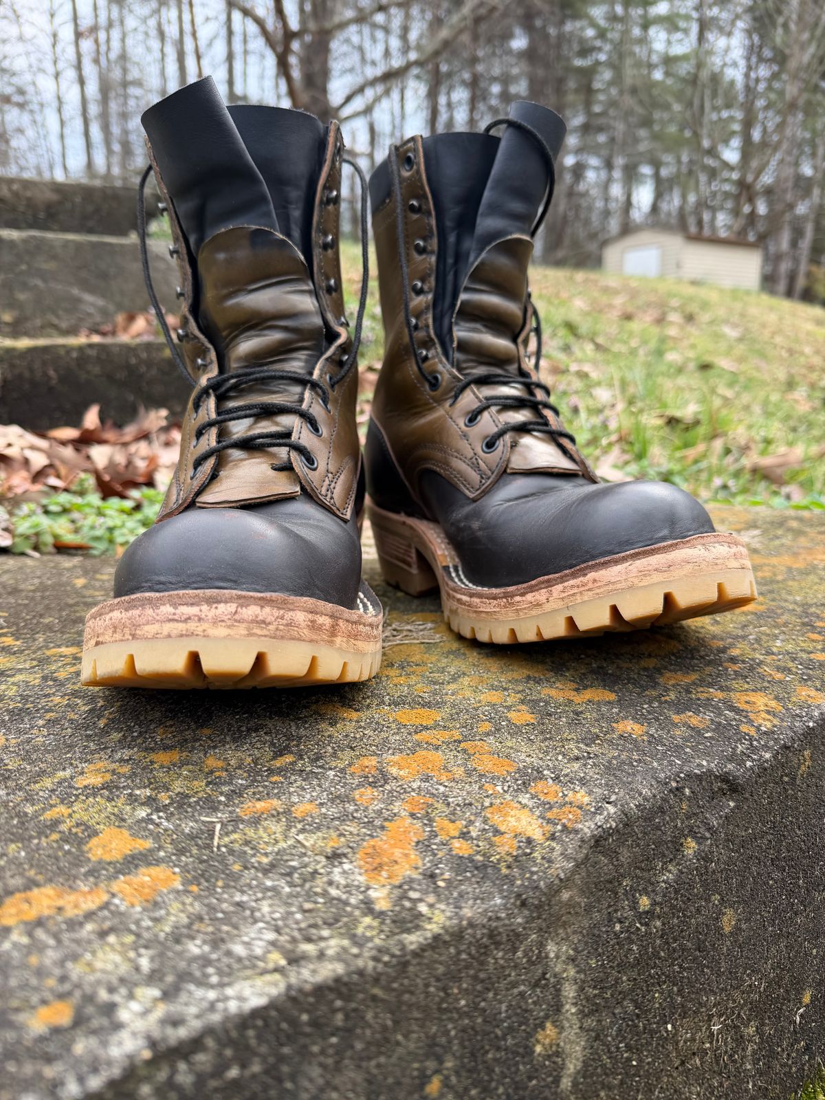 Photo by Shannmoody on February 21, 2026 of the Frank's Boots Royal Commander in Mocha/ Olive Harness.