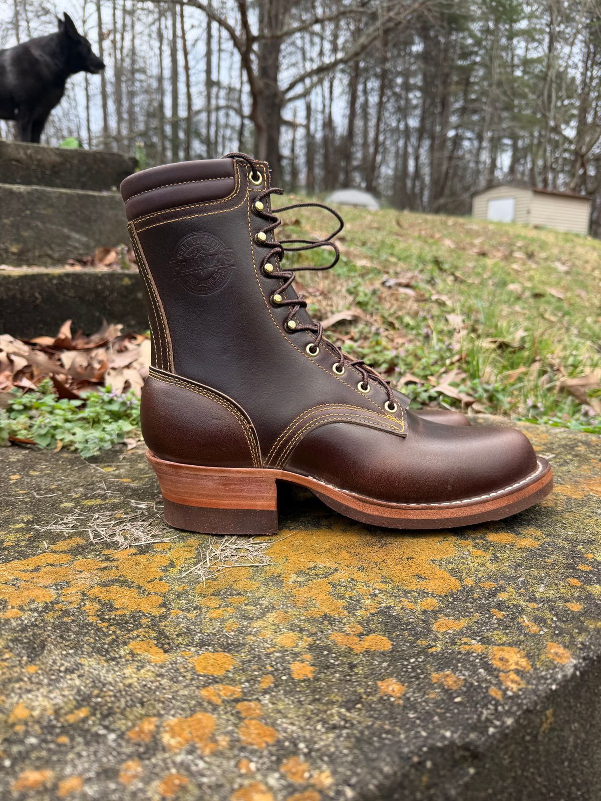 Photo by Shannmoody on February 21, 2026 of the Frank's Boots Type 2 Highlander in Horween Cinnamon Waxed Flesh.