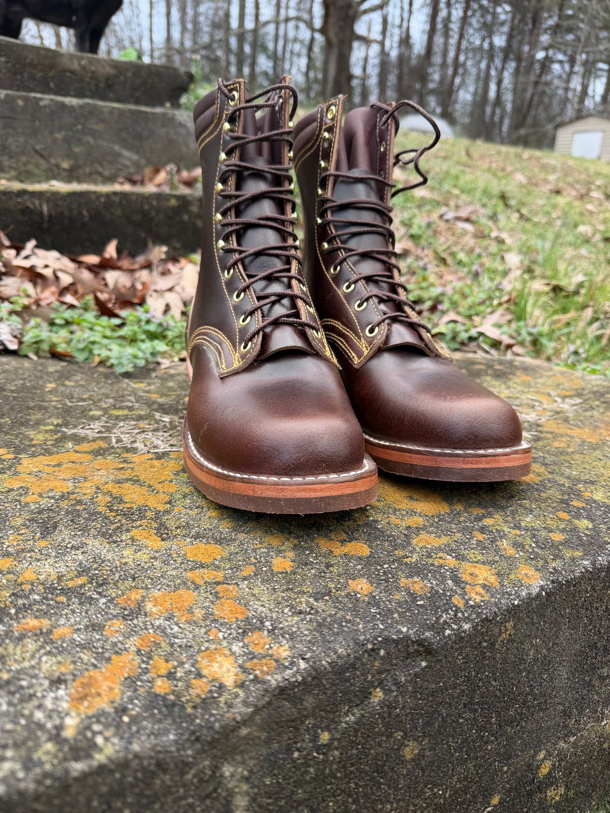 Photo by Shannmoody on February 21, 2026 of the Frank's Boots Type 2 Highlander in Horween Cinnamon Waxed Flesh.
